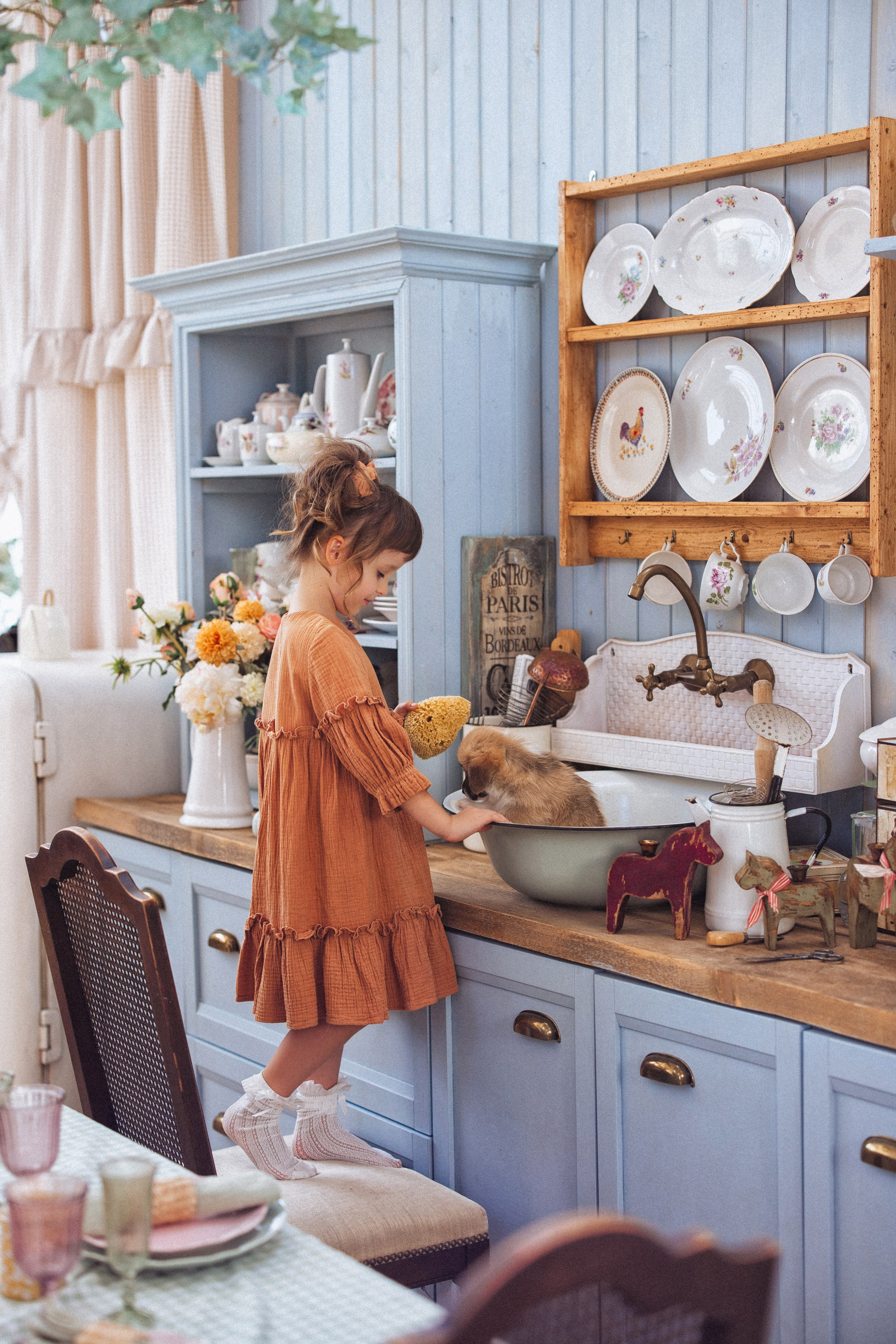 Фотосессия с щенками Корги, в фотостудии Ольги Сурухановой, город Краснодар. Семейный и детский фотограф в Краснодаре Анна Трашкова