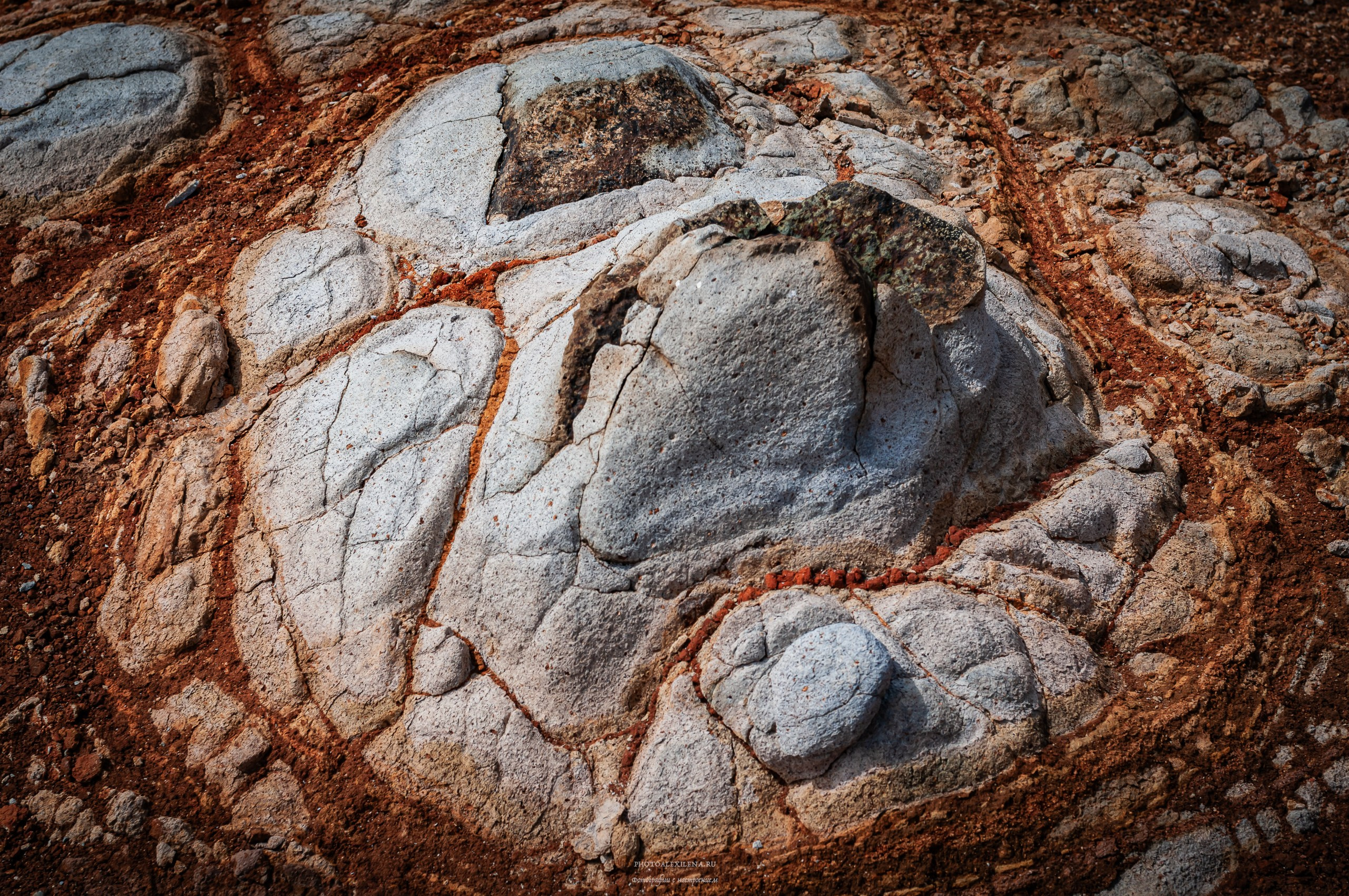 Осязаемая красота. Авторские стильные фотокартины