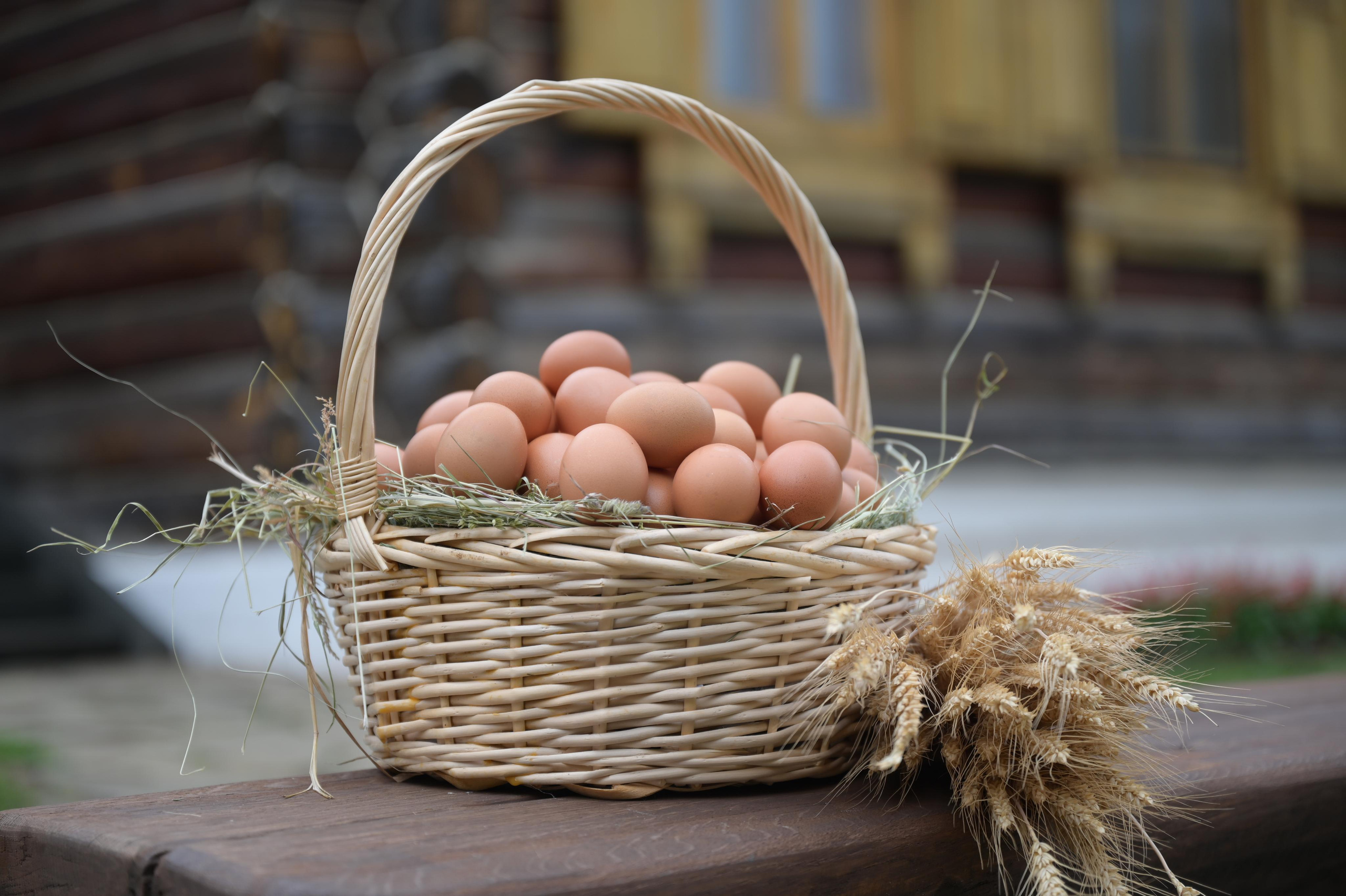 Фотосъемка для Wilderries, Ozon, соц. сетей и сайтов. Фотограф во Владимире Ирина Курицына