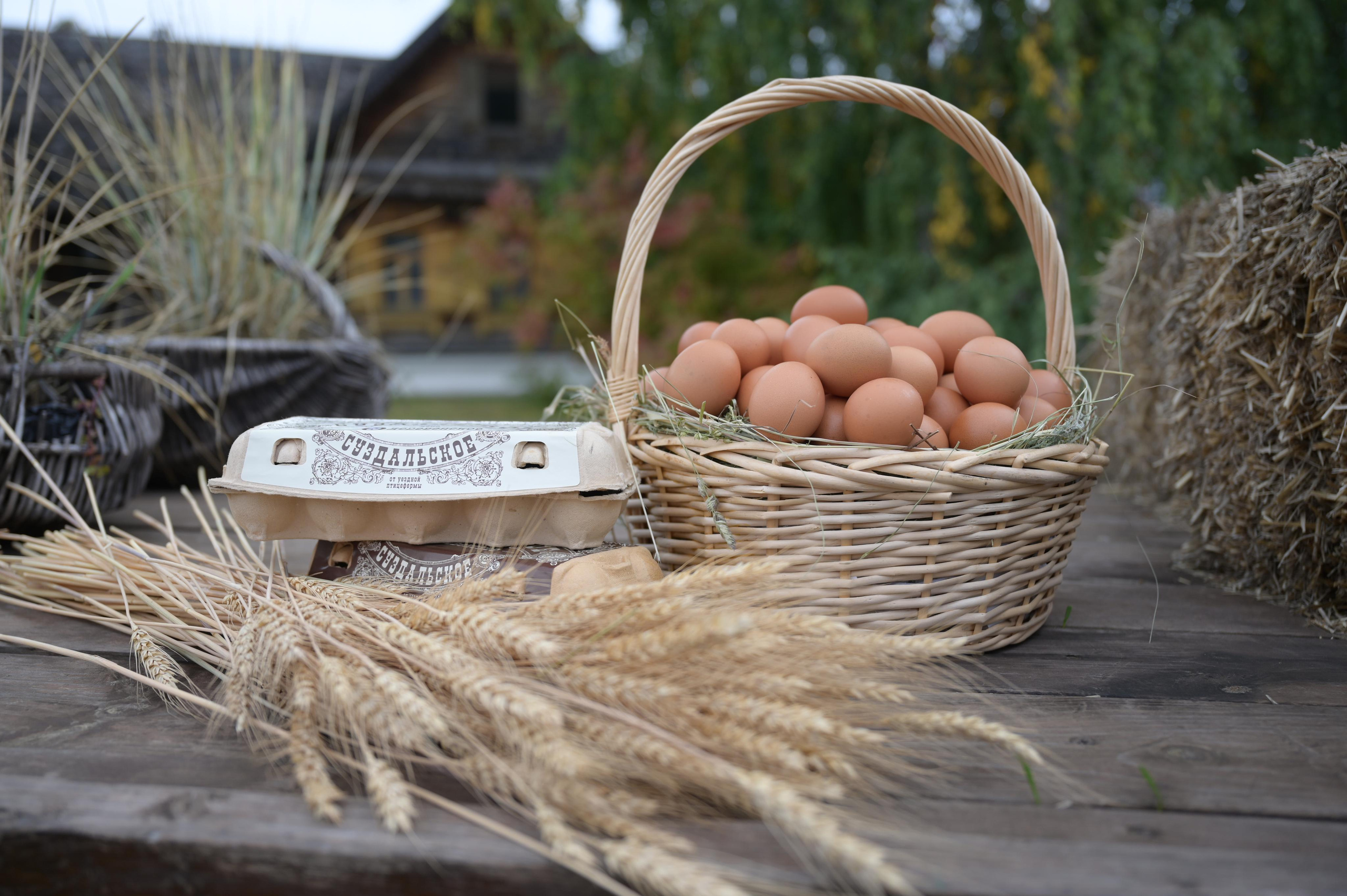 Фотосъемка для Wilderries, Ozon, соц. сетей и сайтов. Фотограф во Владимире Ирина Курицына
