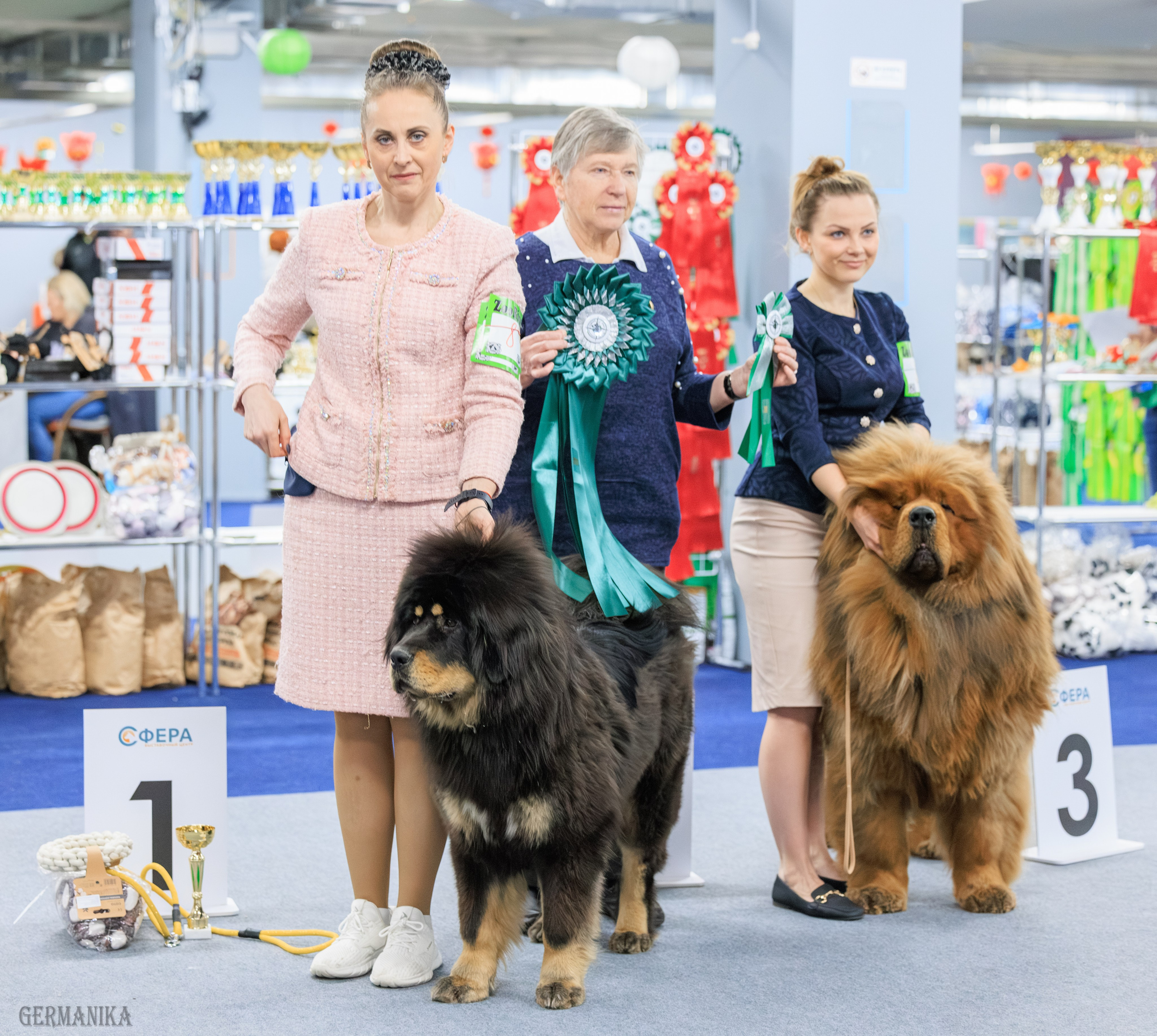 Сфера 08 и 10.03.2024 2хмоно ротвейлеров+2хмоно сао. Фотограф-анималист Юлия Германика