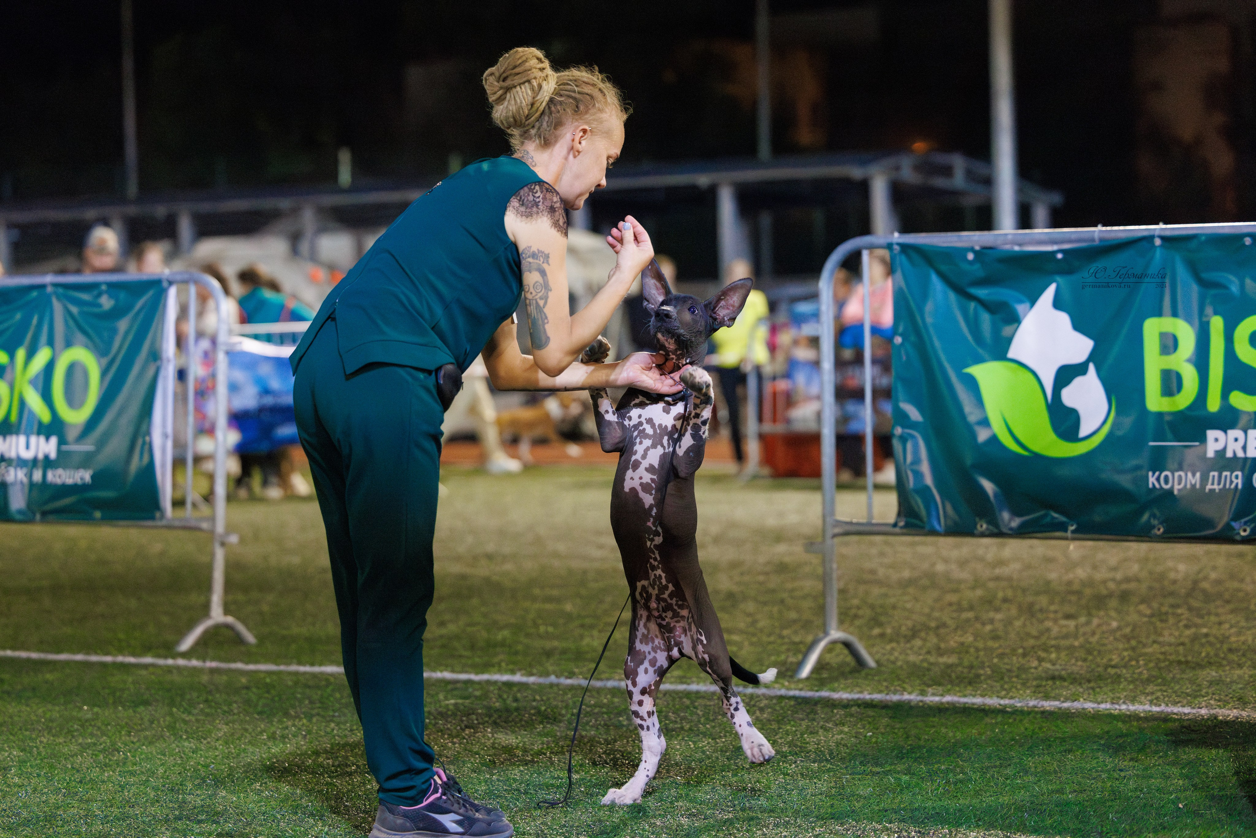 Волгоград 2-4.08.2024. Фотограф-анималист Юлия Германика
