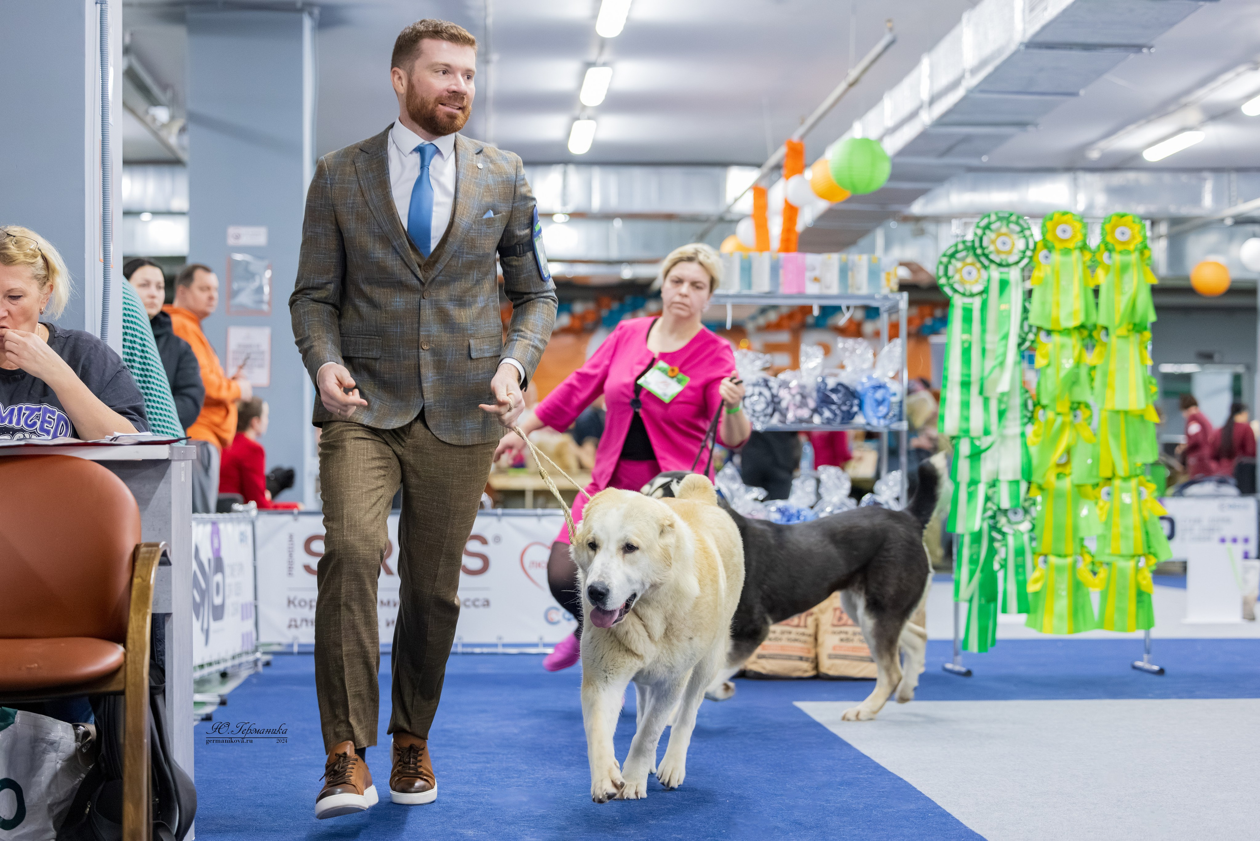 Сфера 08 и 10.03.2024 2хмоно ротвейлеров+2хмоно сао. Фотограф-анималист Юлия Германика