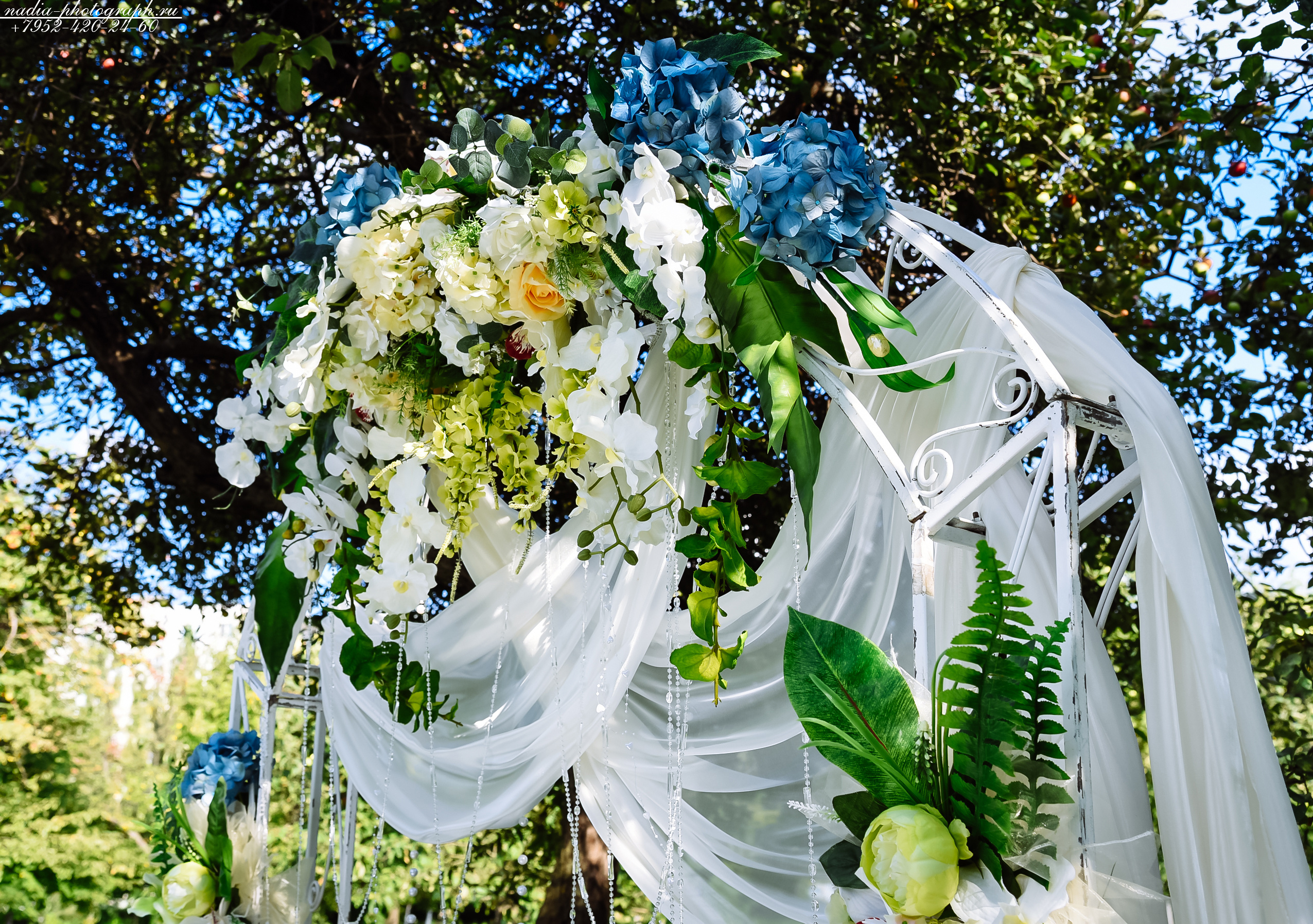 Илья и Светлана. Свадебный и семейный фотограф