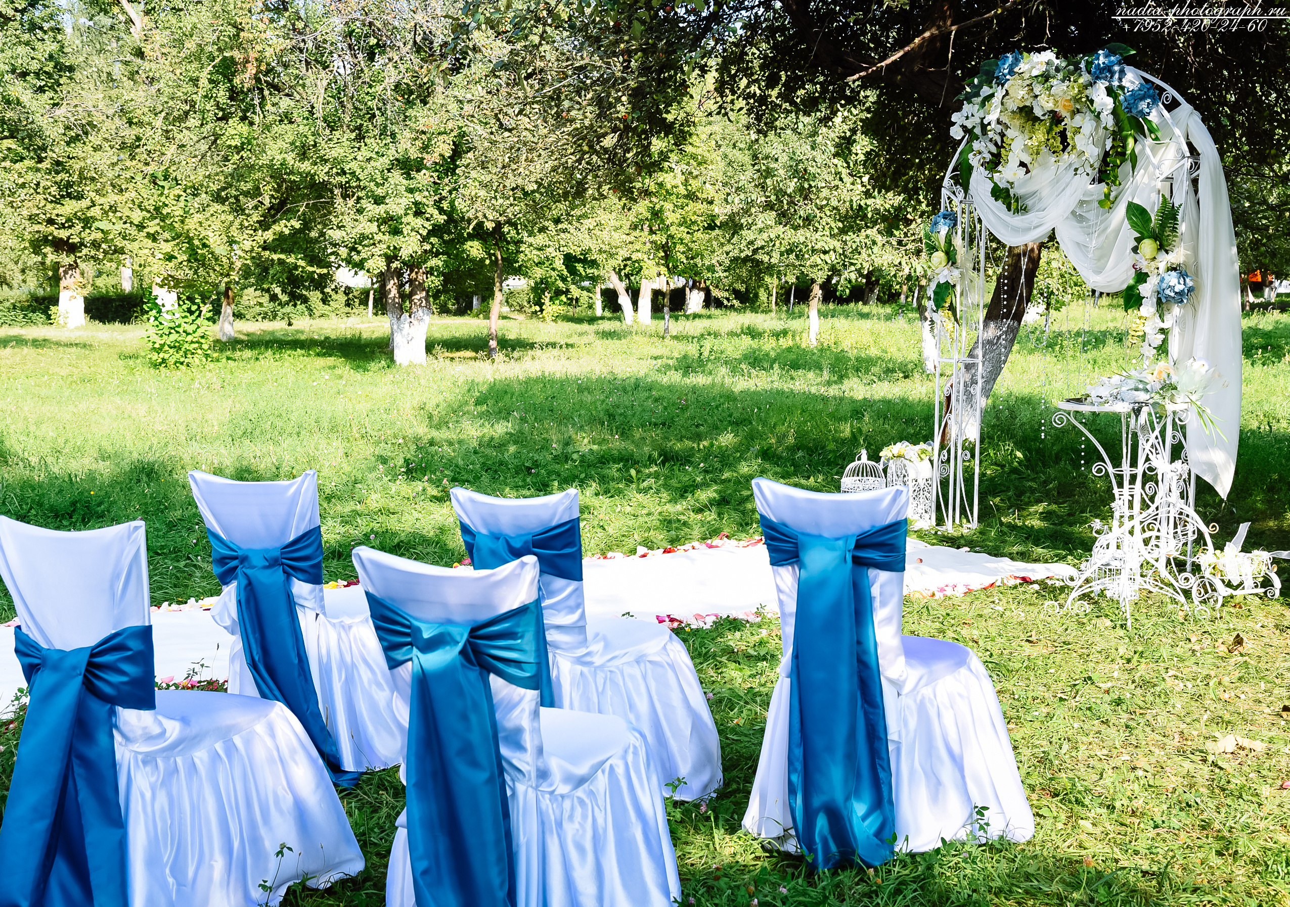 Илья и Светлана. Свадебный и семейный фотограф