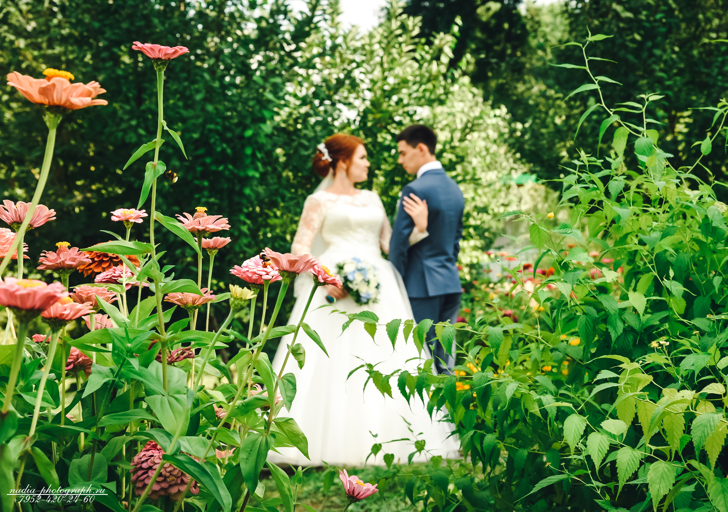 Илья и Светлана. Свадебный и семейный фотограф