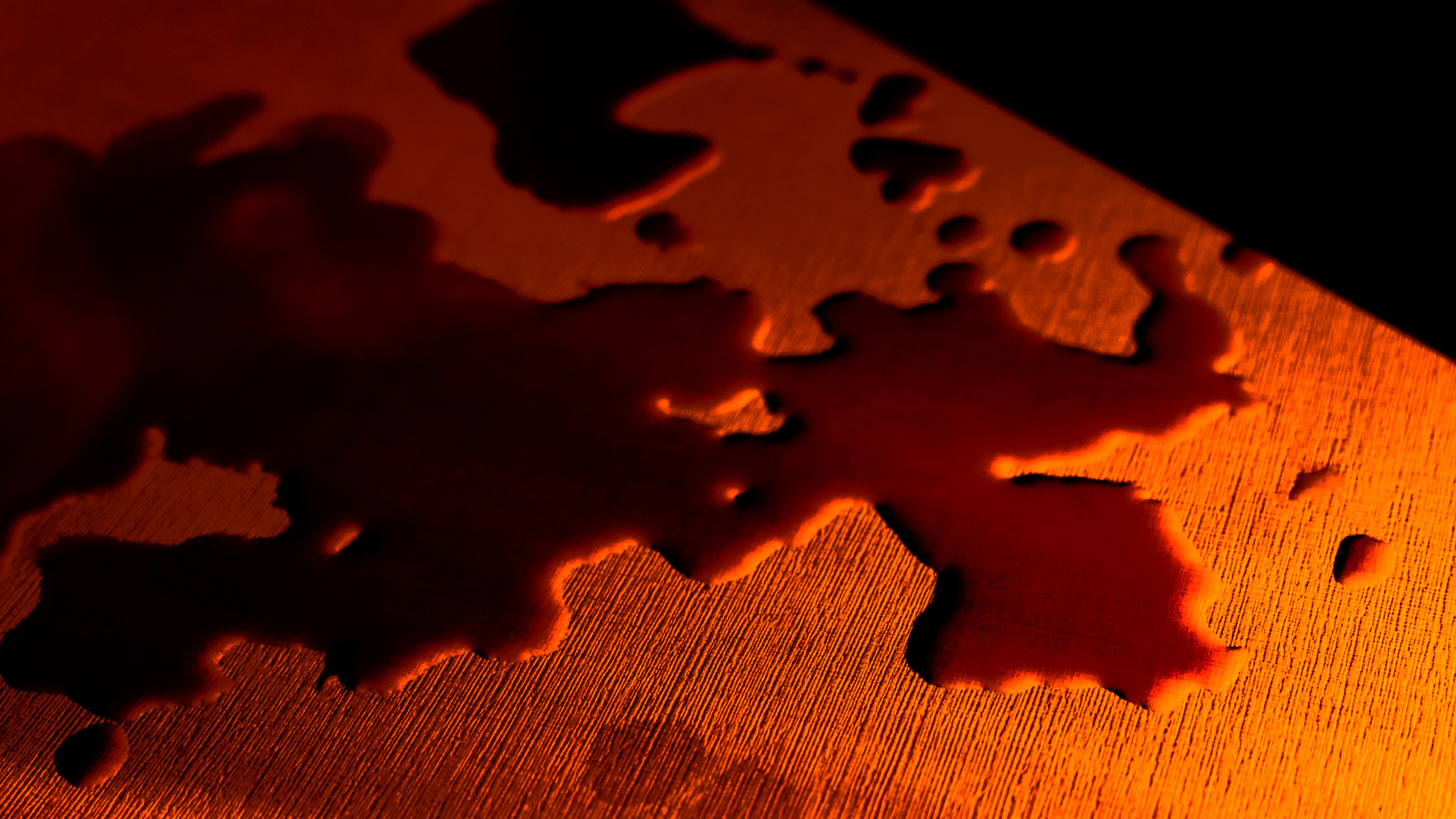 Jägermeister. Портретный фотограф в Москве Блинова Мария