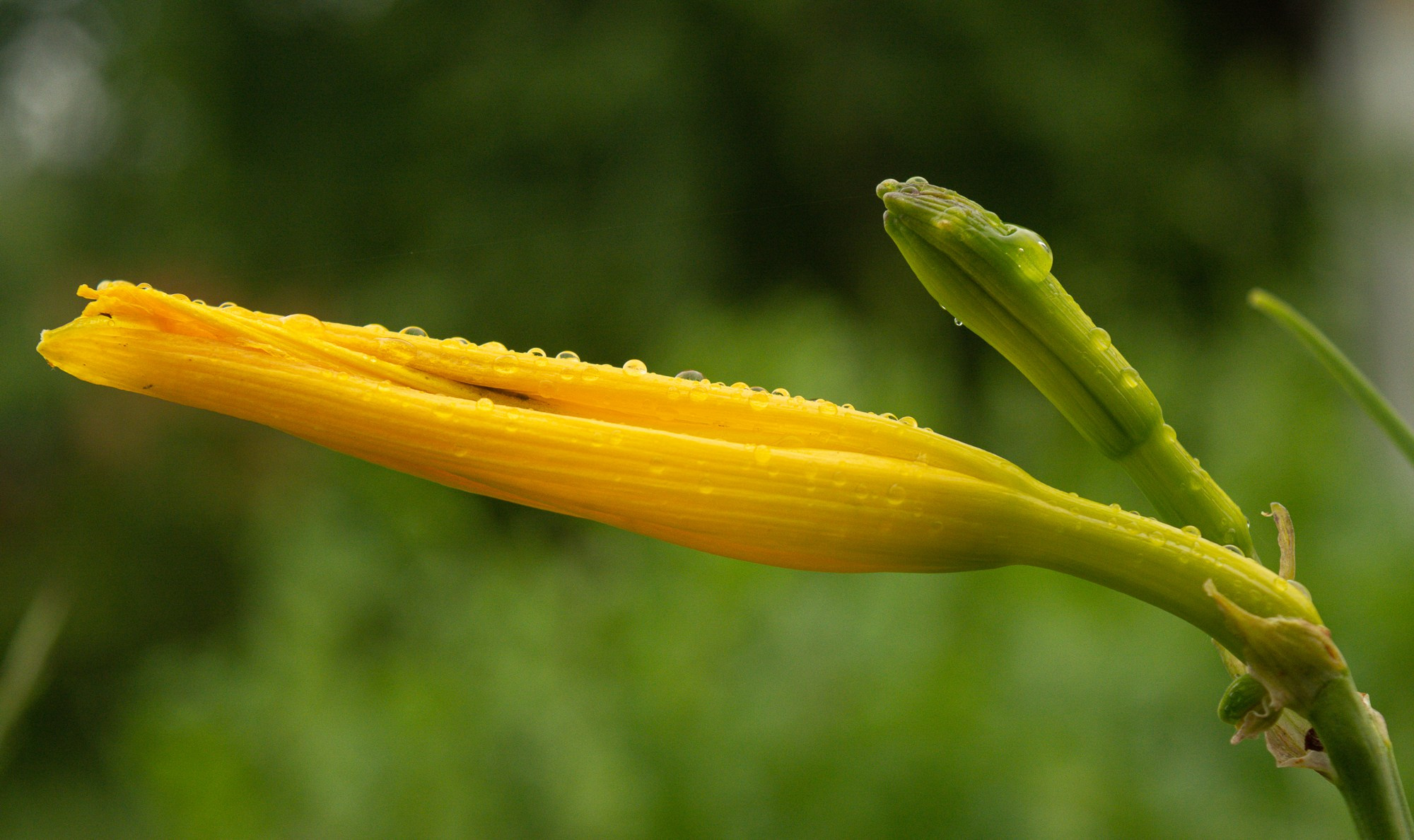 Разное. Репортажный фотограф г. Чита