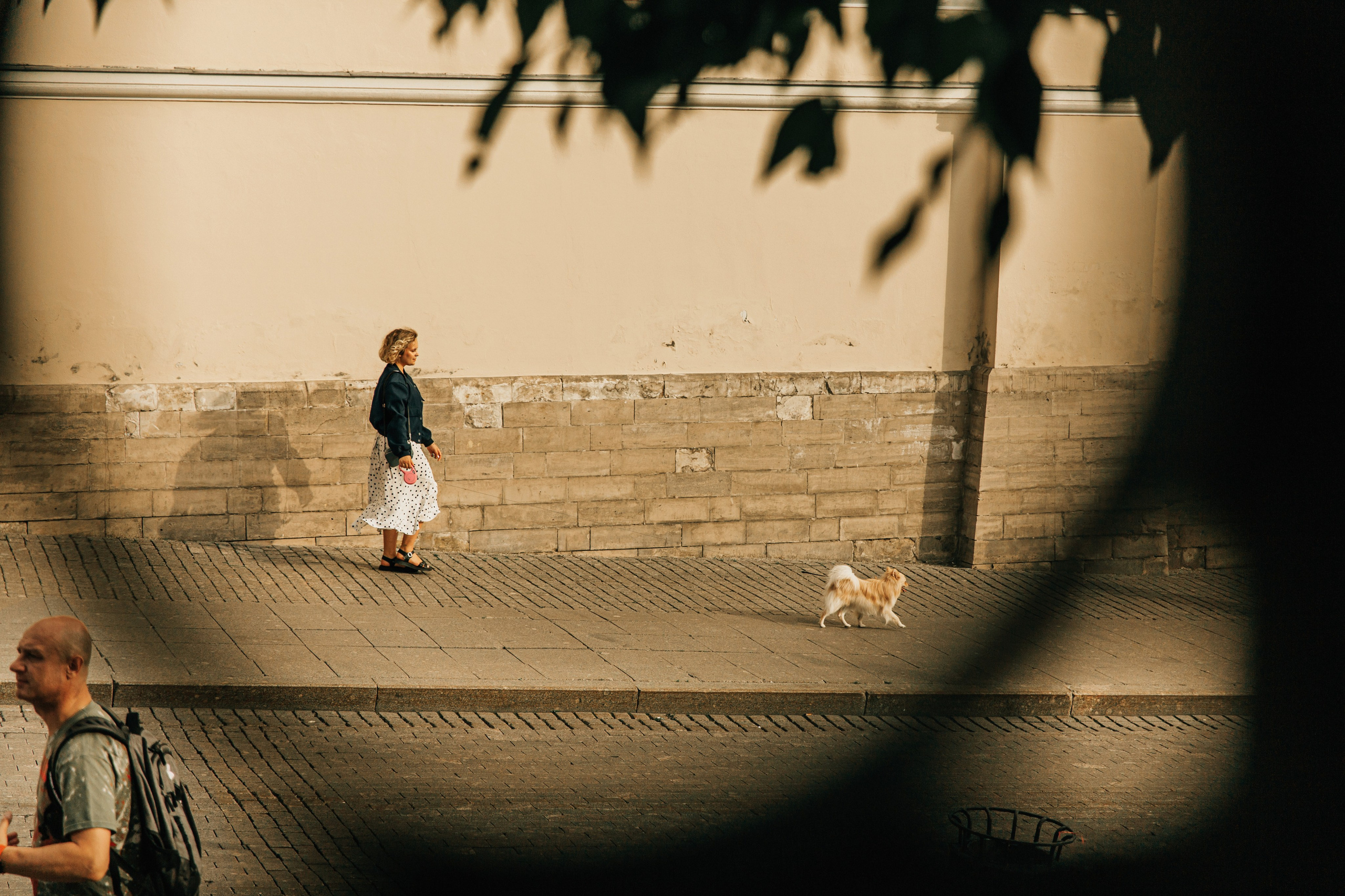 Даша и Булка. Фотограф-анималист в Москве Соломонова Варвара