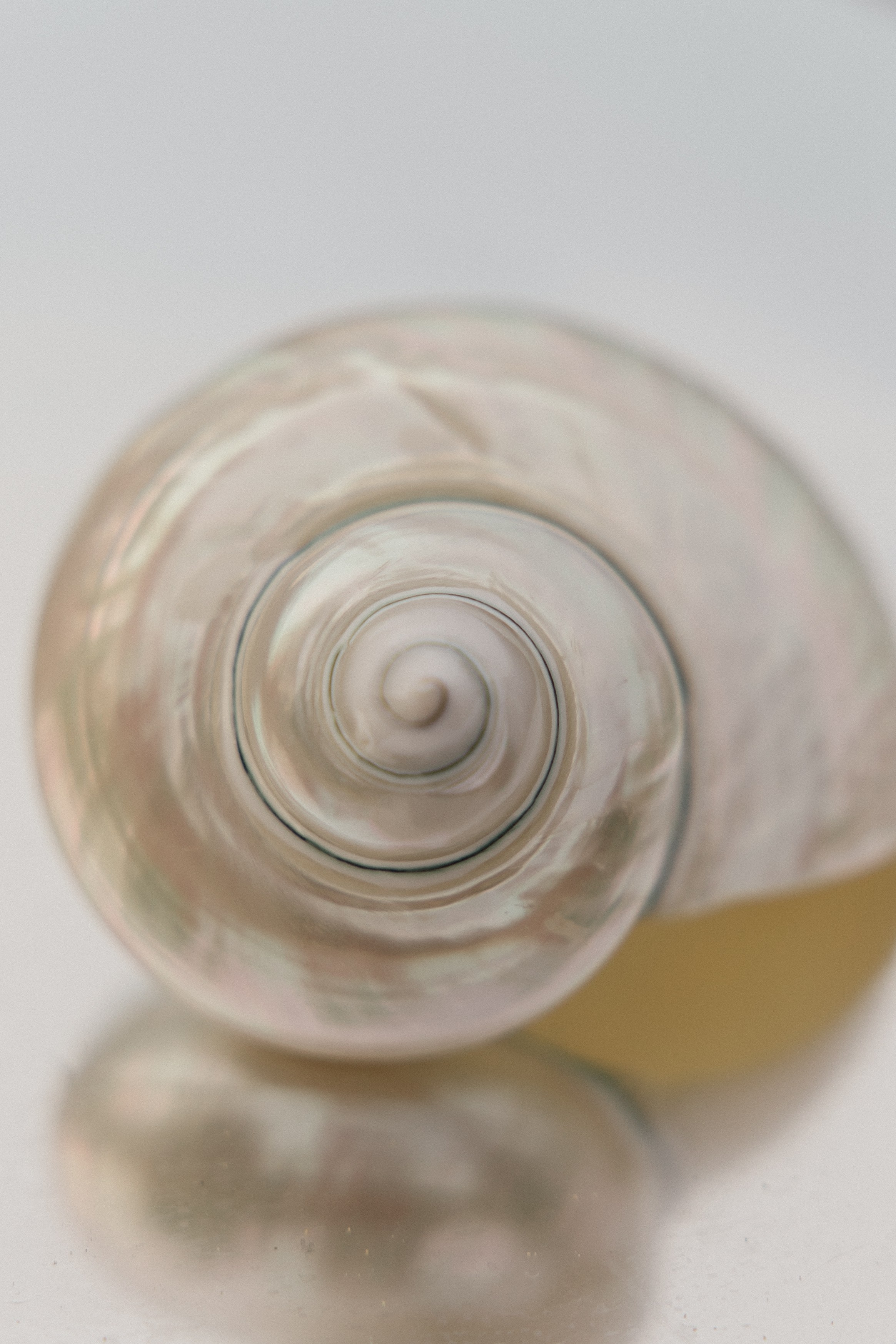 Владислав & Екатерина