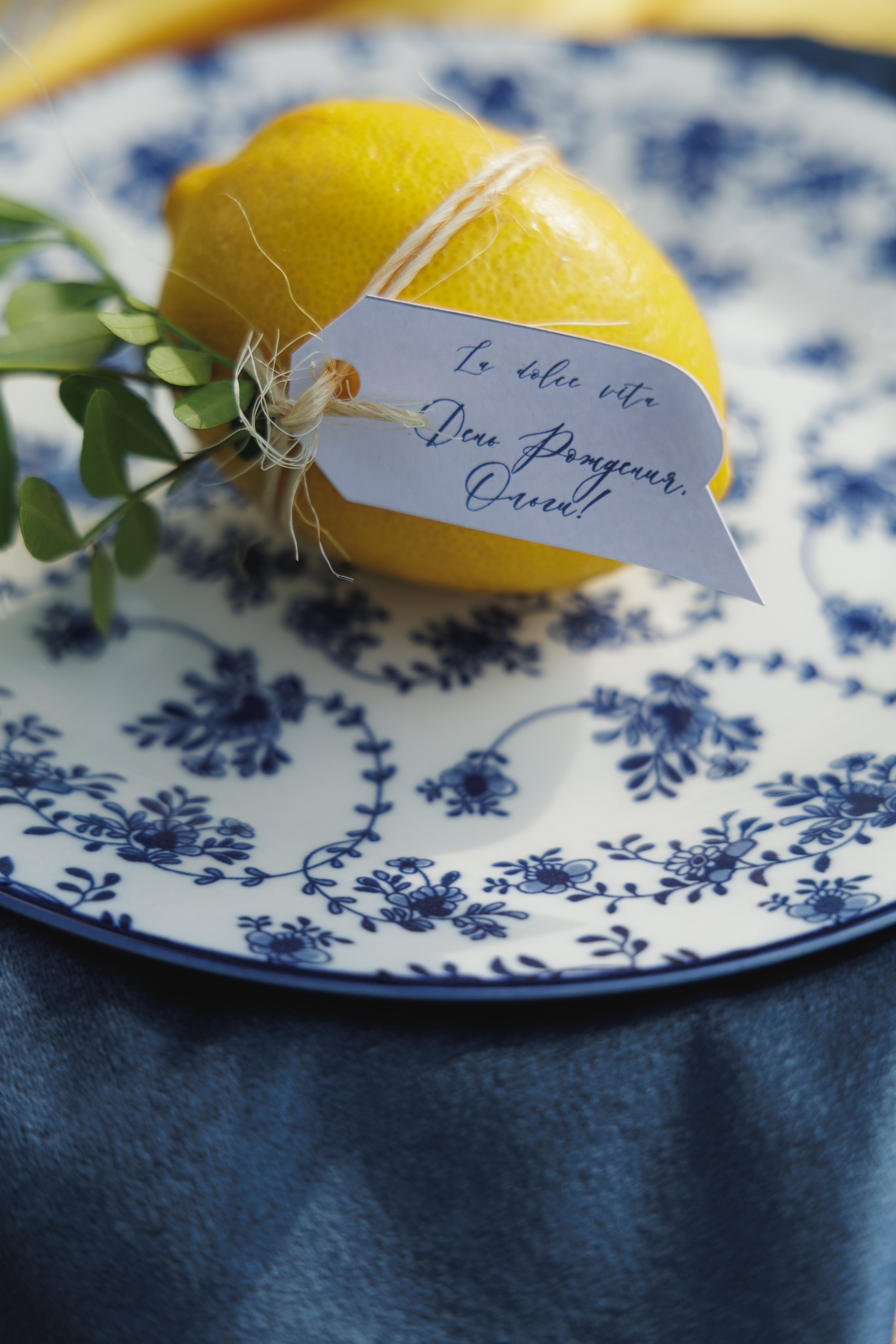 День Рождения. Aleksantis