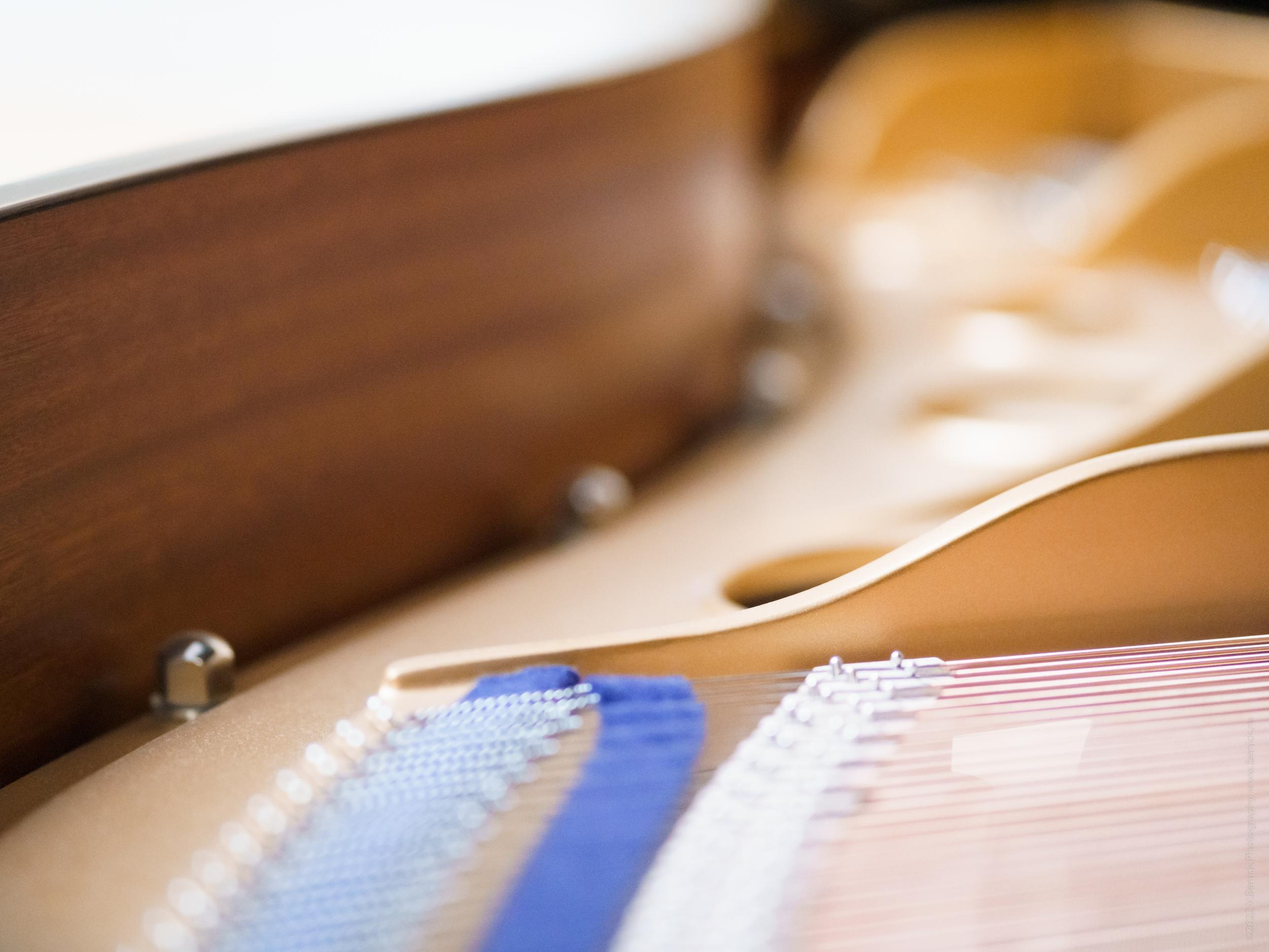 Репортажная съемка в Симферополе и по Крыму. Виктория Беник