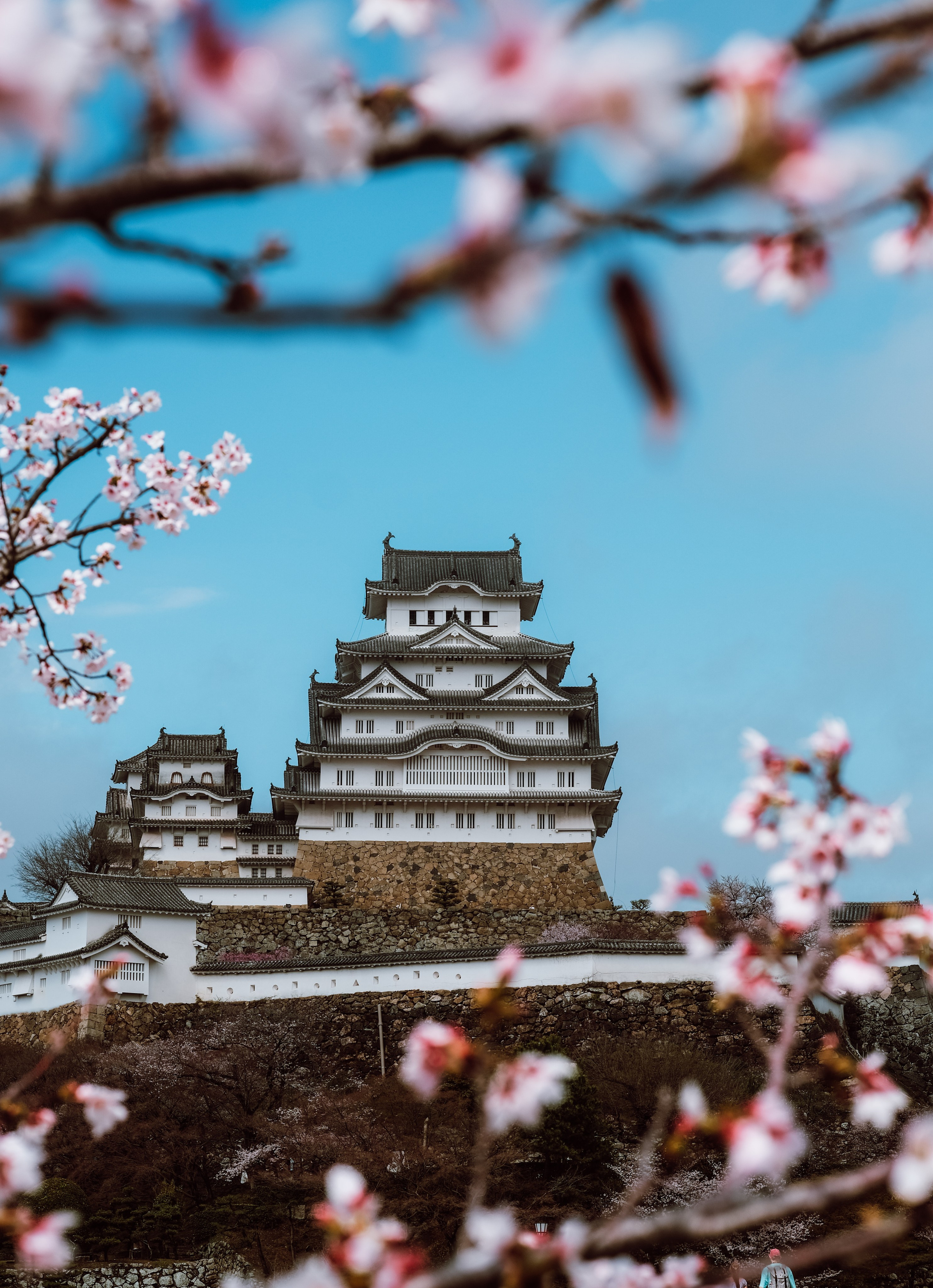 Nippon. Главная