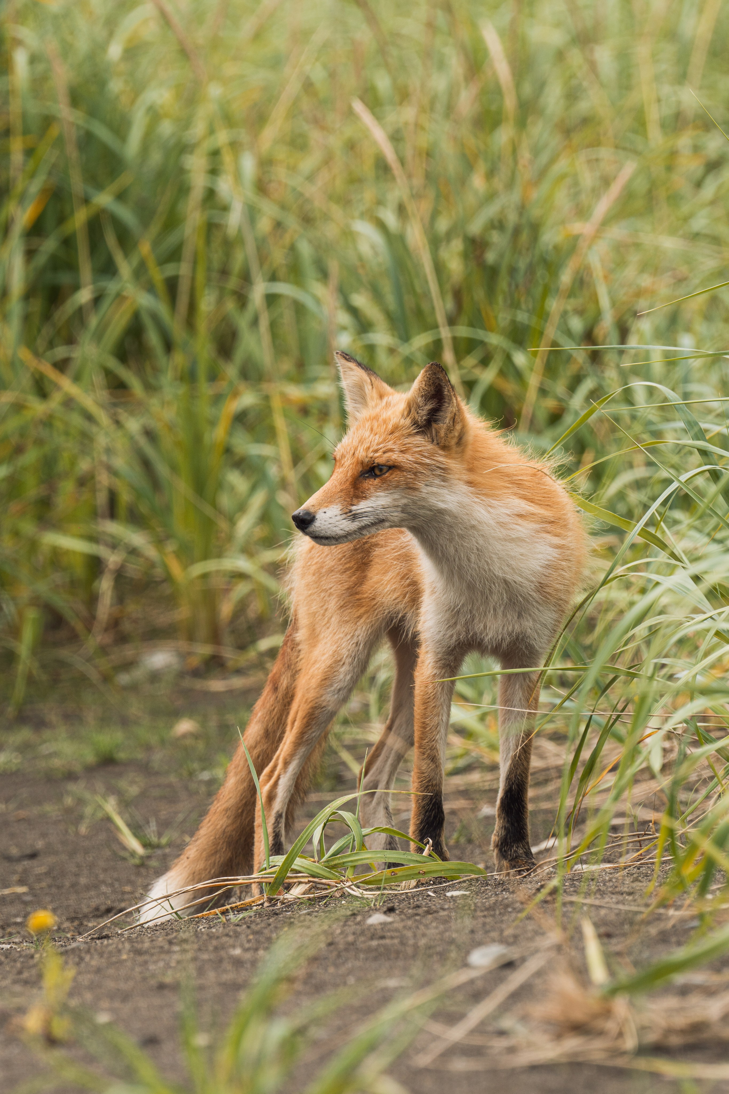 Курильские острова. Gusarov Travel Photography