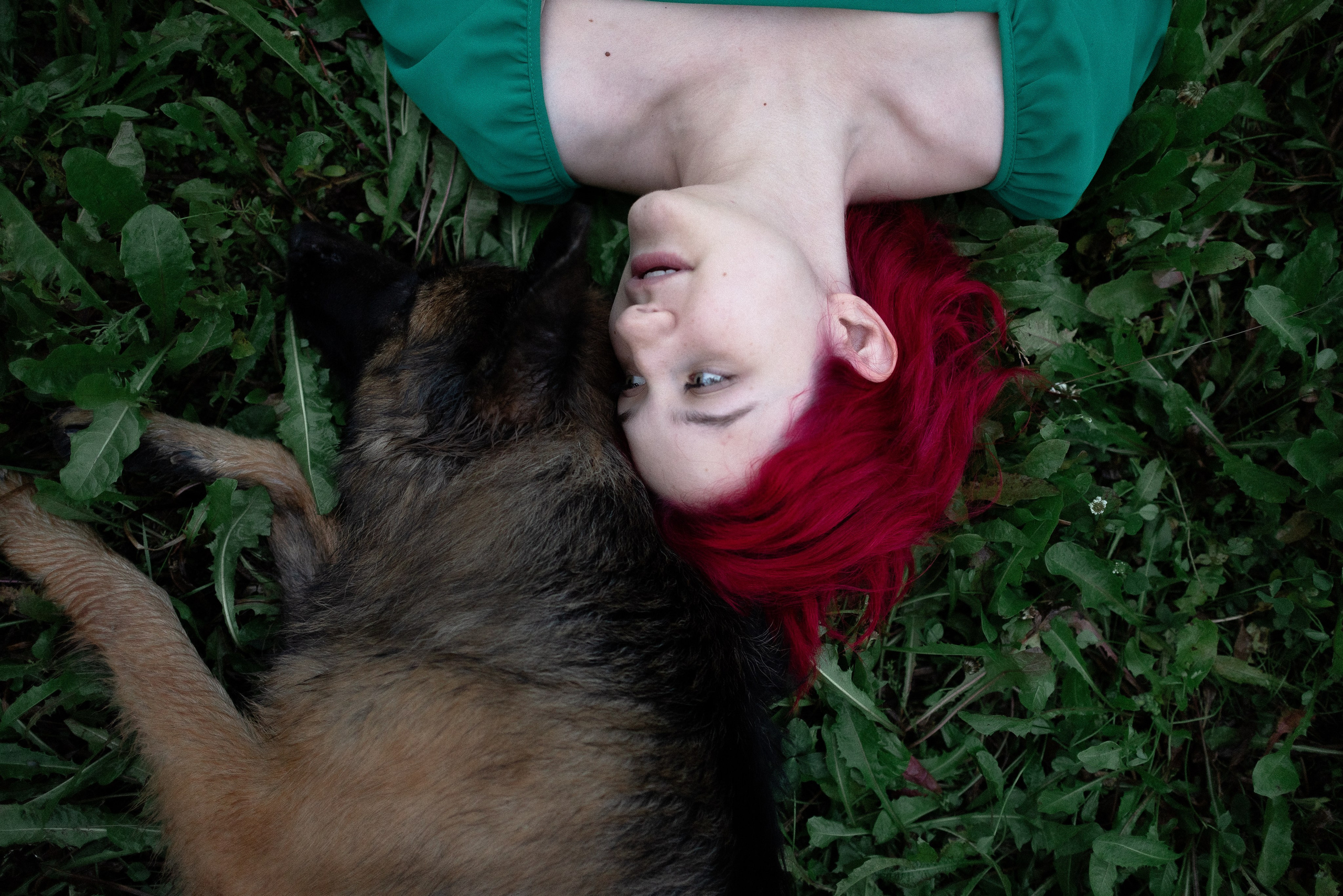 Алена, Фанни и Фрея. Фотограф и видеограф анималист Аганина Дарья