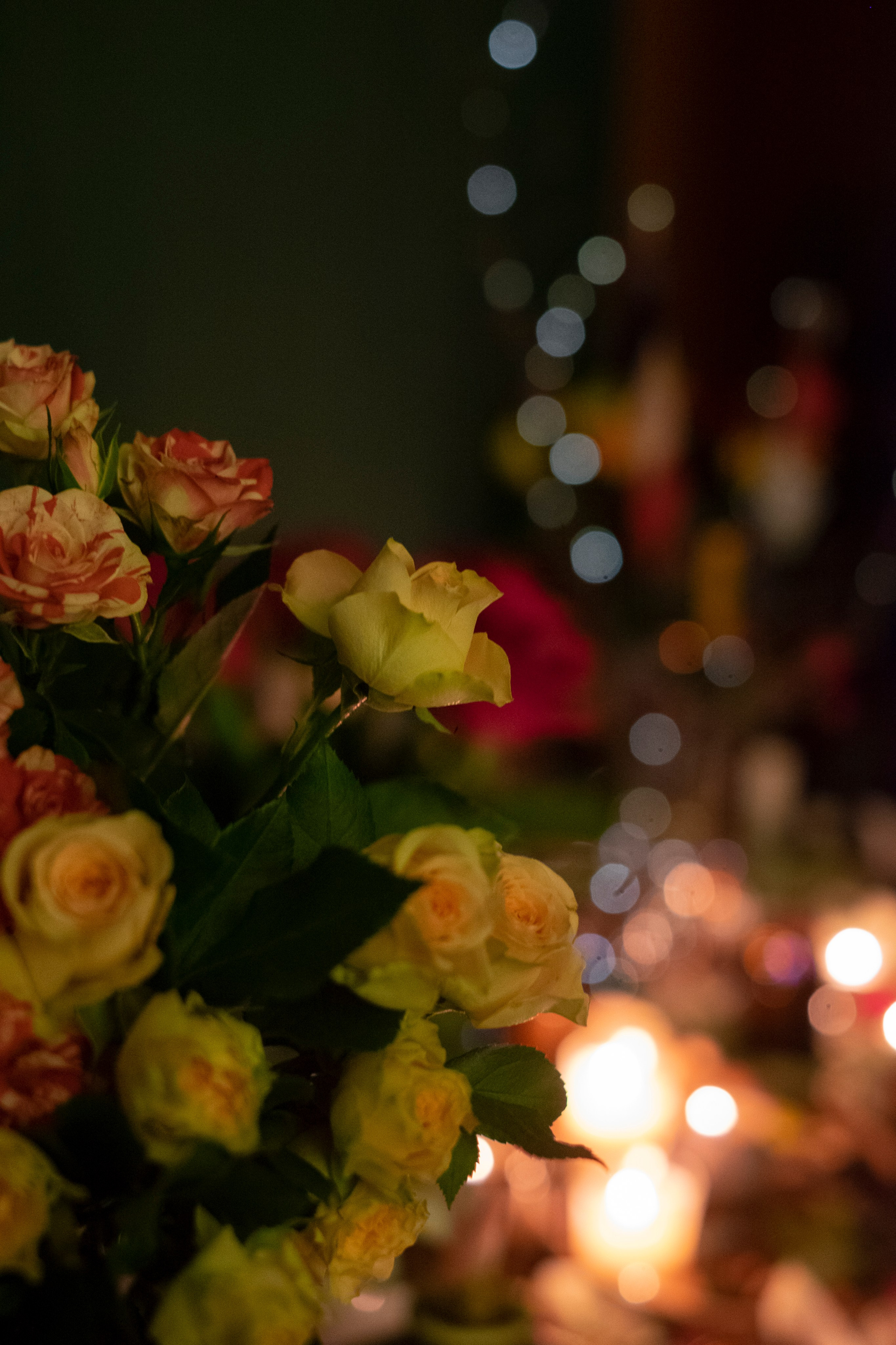 Фотограф в Раменском, фотостудия в Раменском. Фототерапия «Пульс СЧАСТЬЯ»