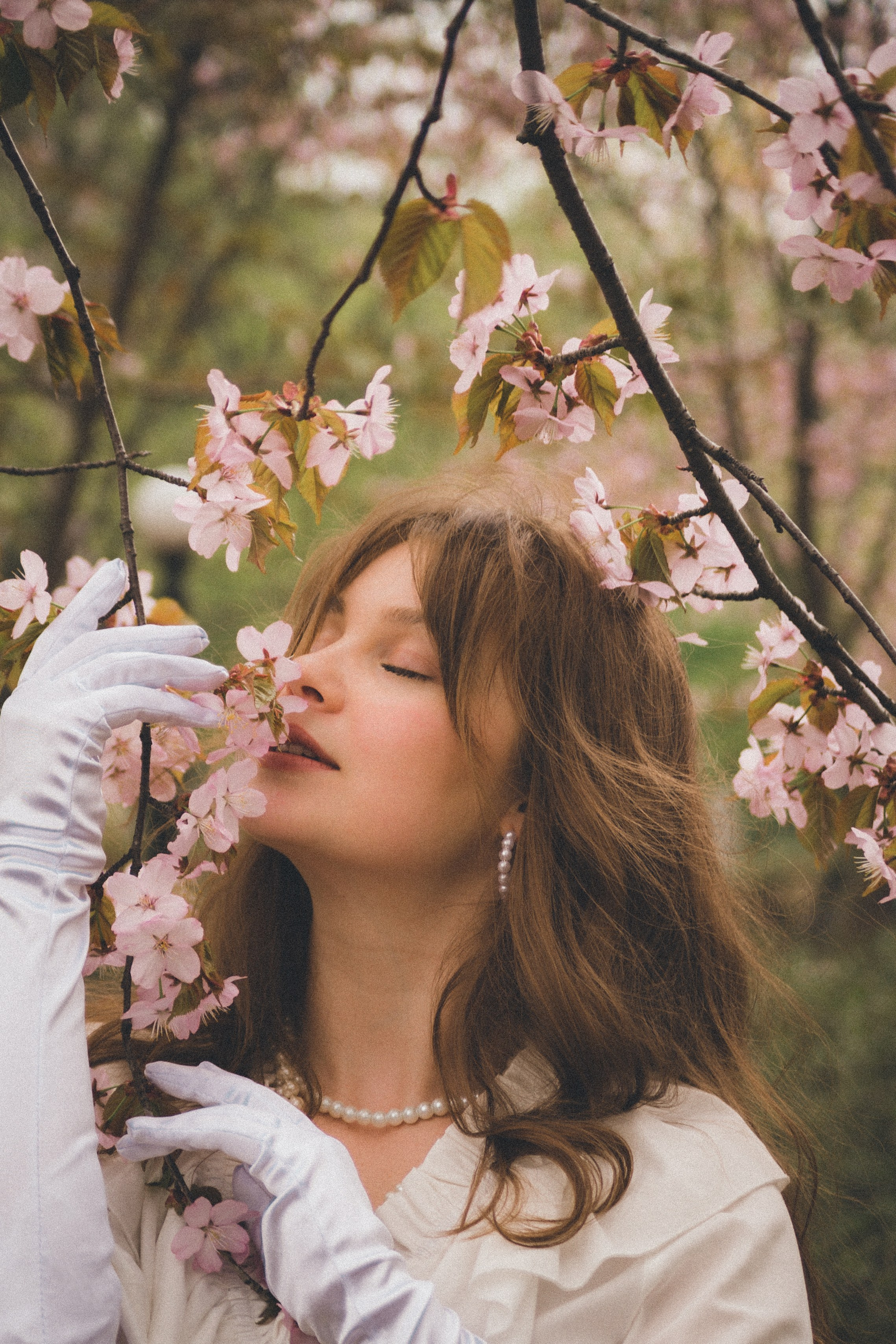 Девушка и сакура. Фотограф сахалин