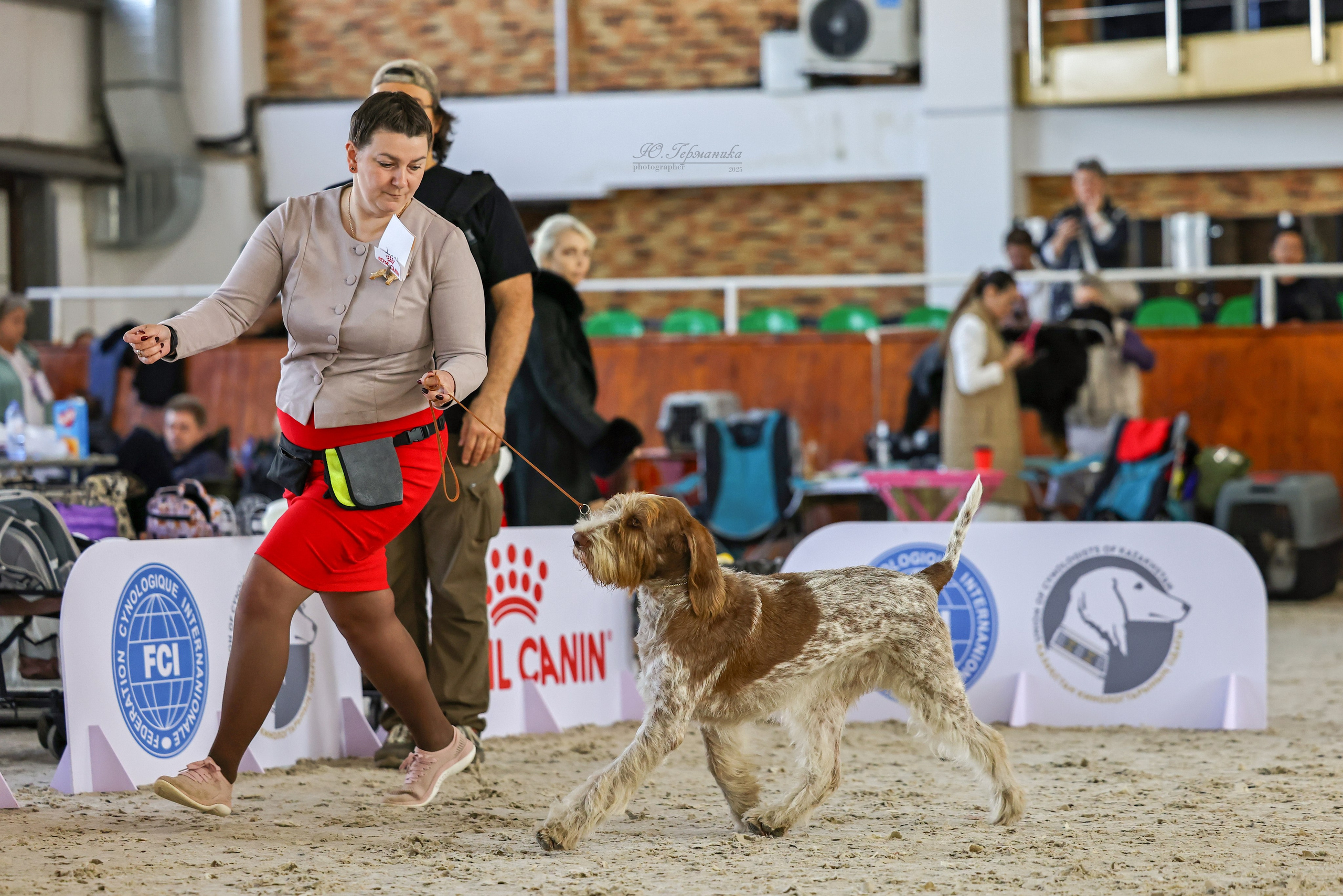 Астана 2хCACIB 26-28.09.2025. Фотограф-анималист Юлия Германика