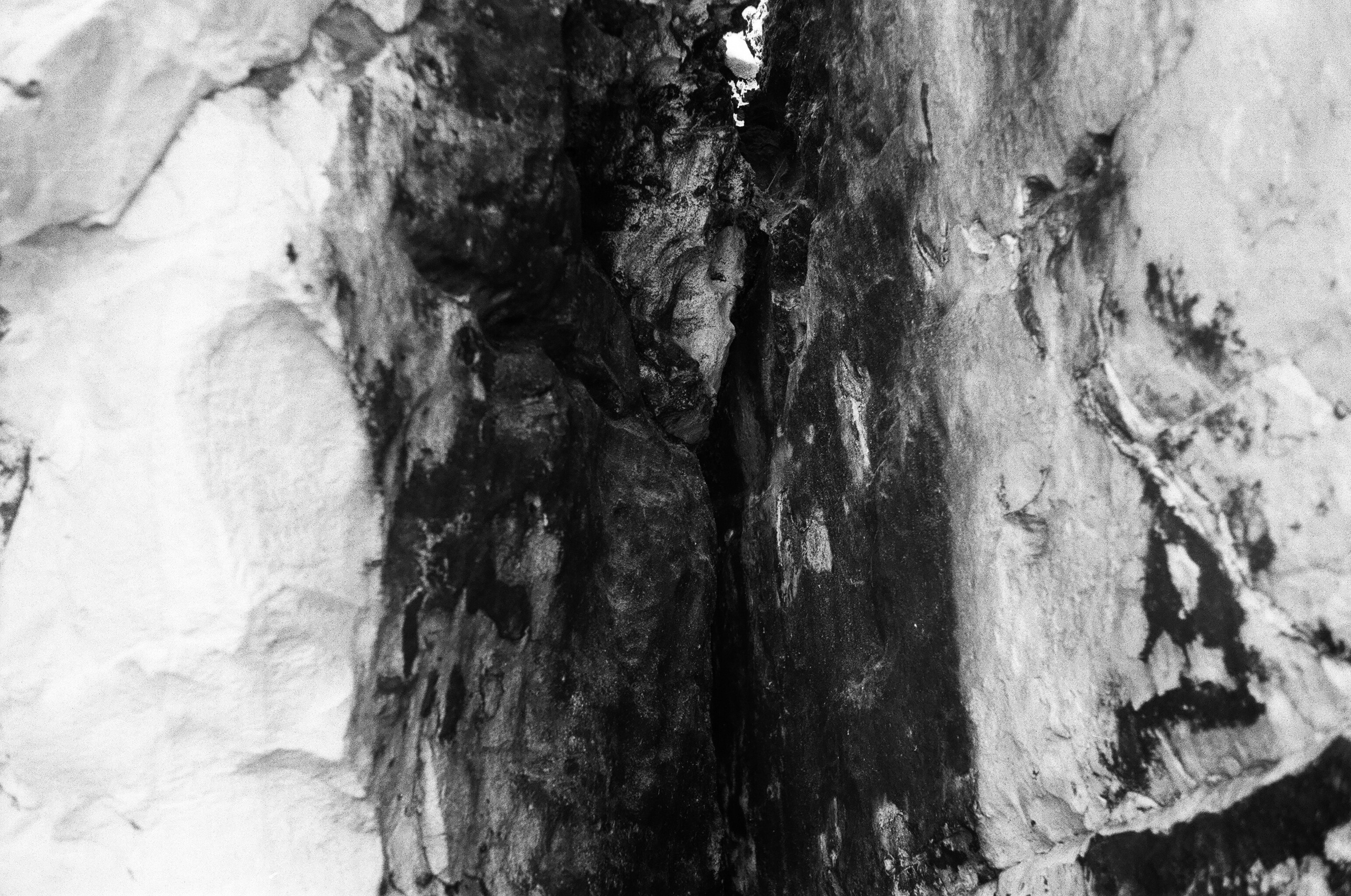 Israel 2025. Свадебный и портретный фотограф в Санкт-Петербурге