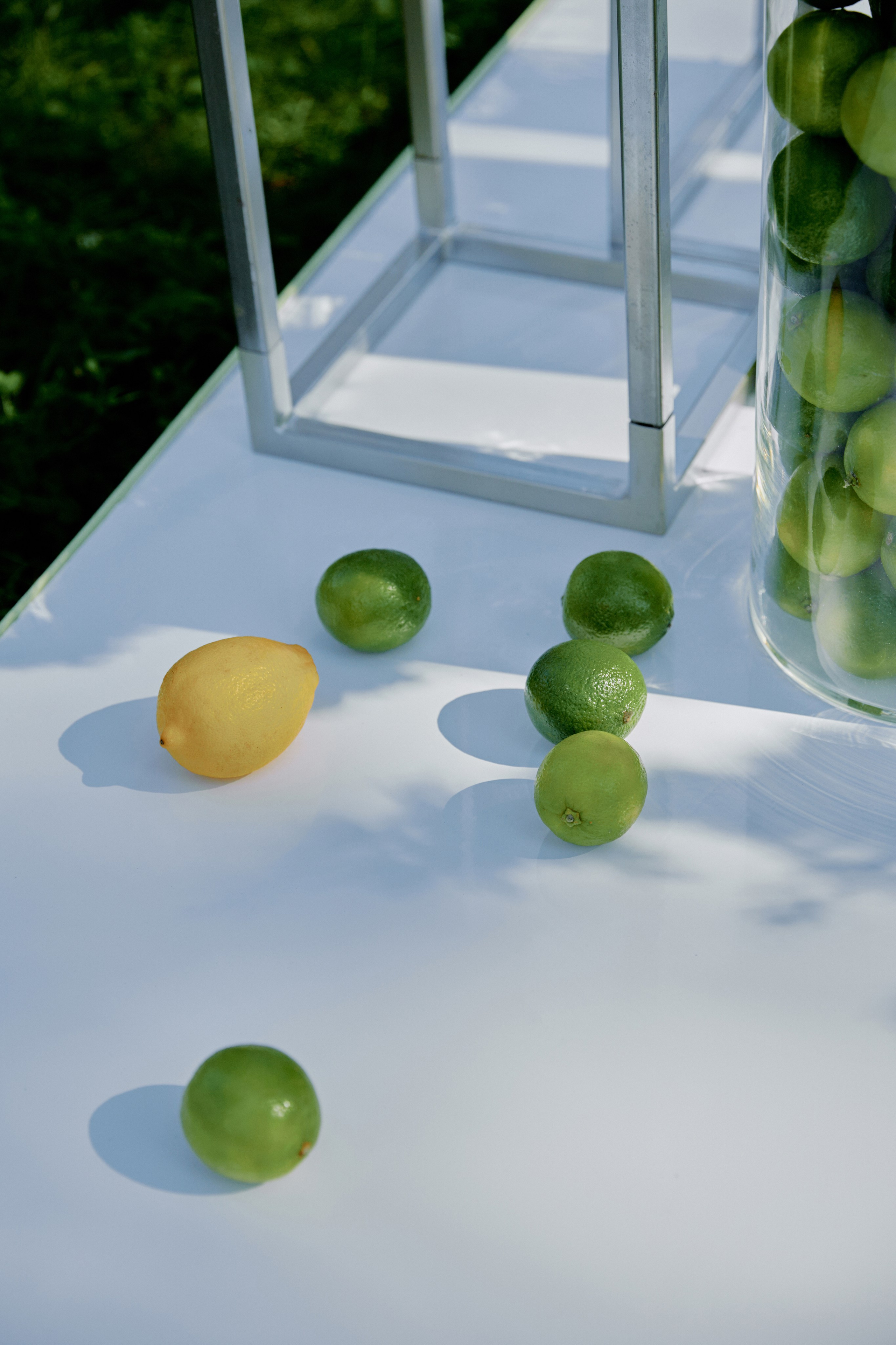 Лаймовое настроение. Фотограф Елена Краснопевцева
