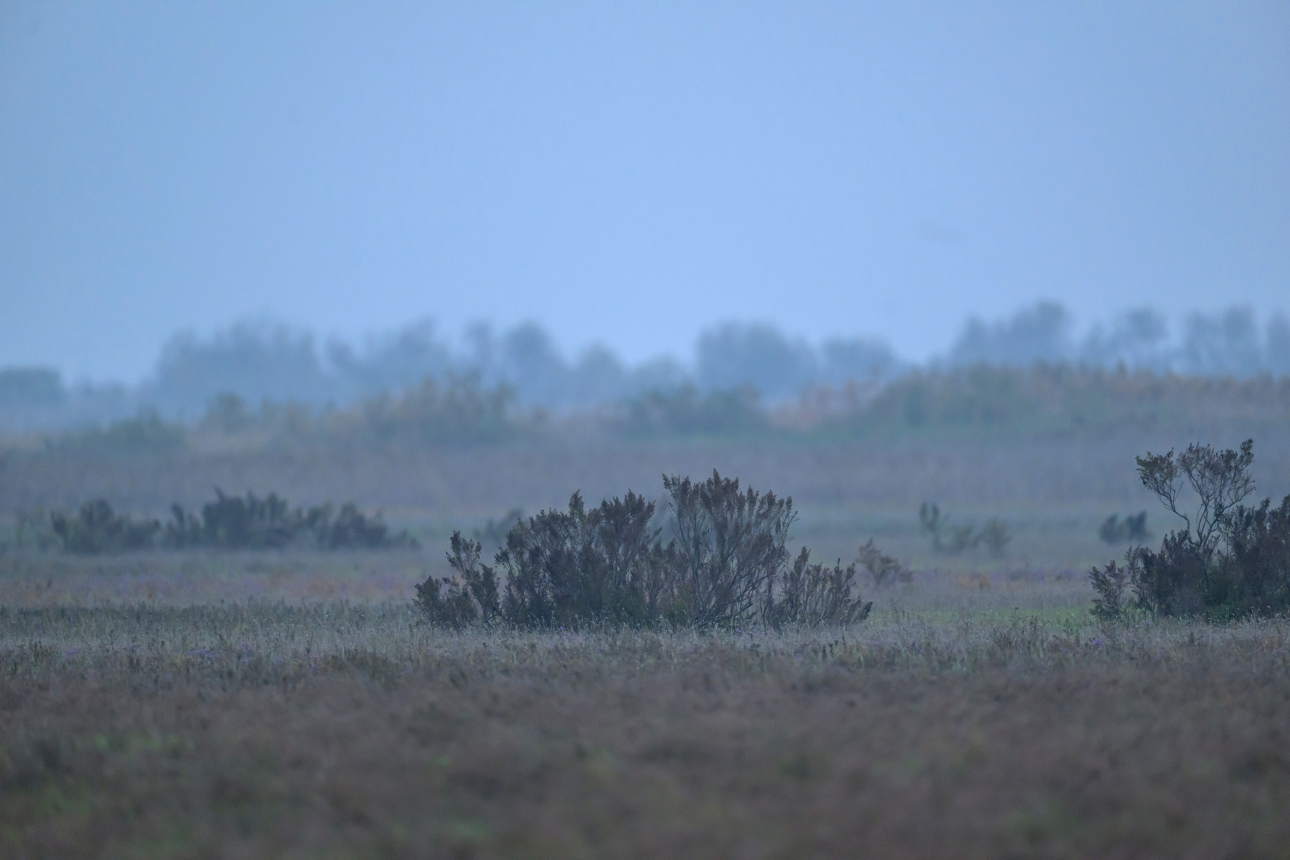 Дагестан. Ноябрь 2025. Фотограф Сергей Пупонин