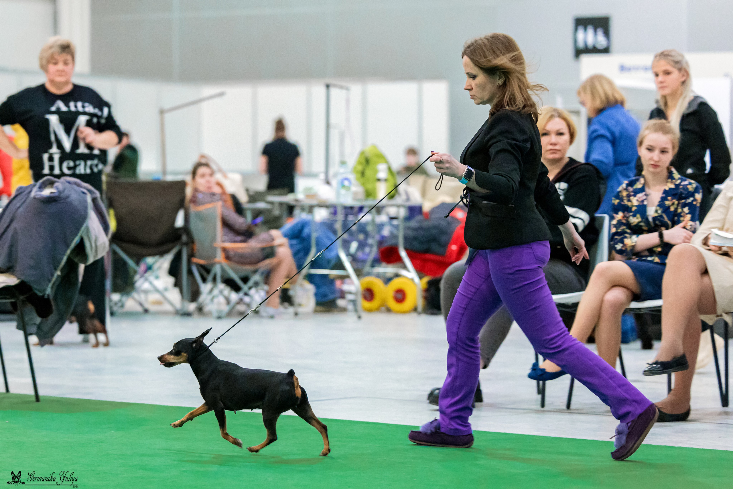 Сабанеевка 26-27.01.2024. Фотограф-анималист Юлия Германика