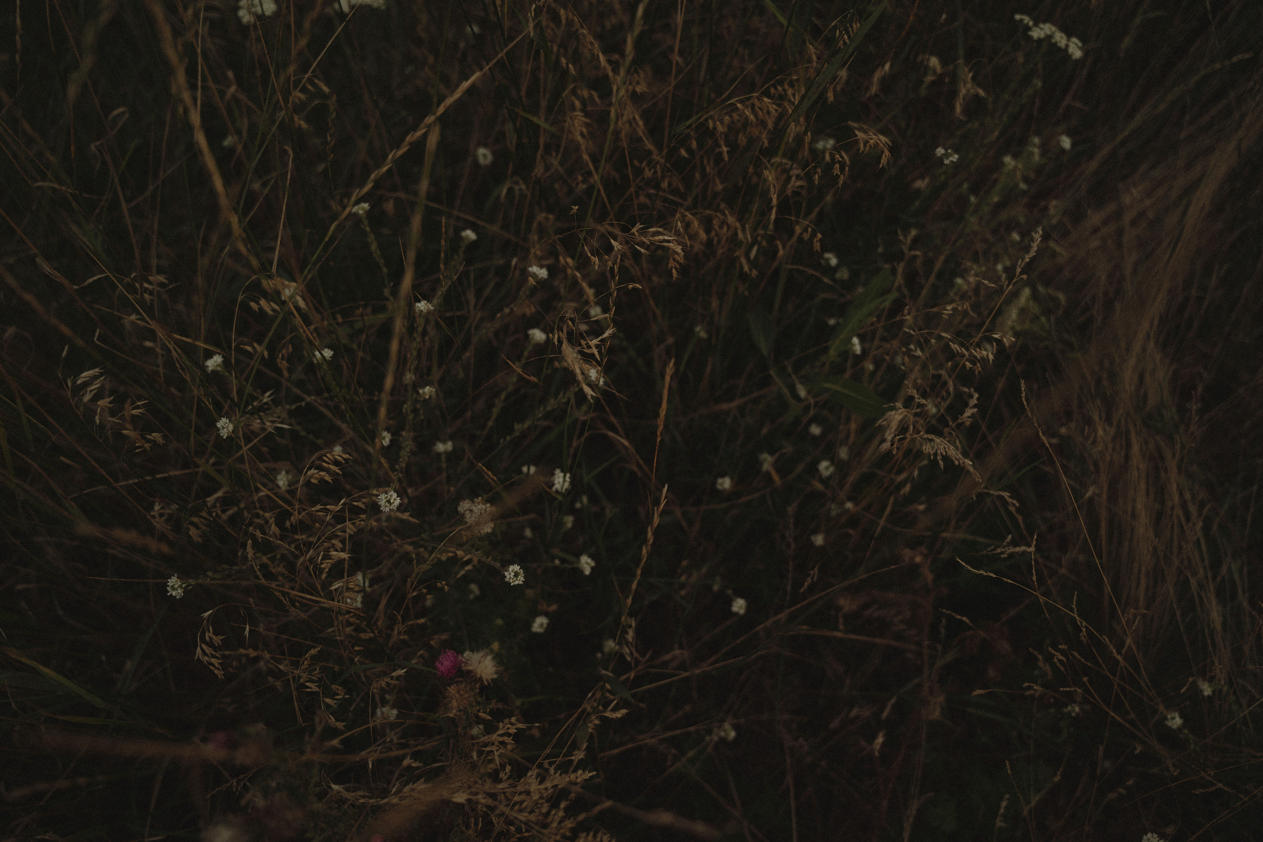 Mower NIKITA. Volozhenina — Женский и семейный фотограф в Египте, Хургада