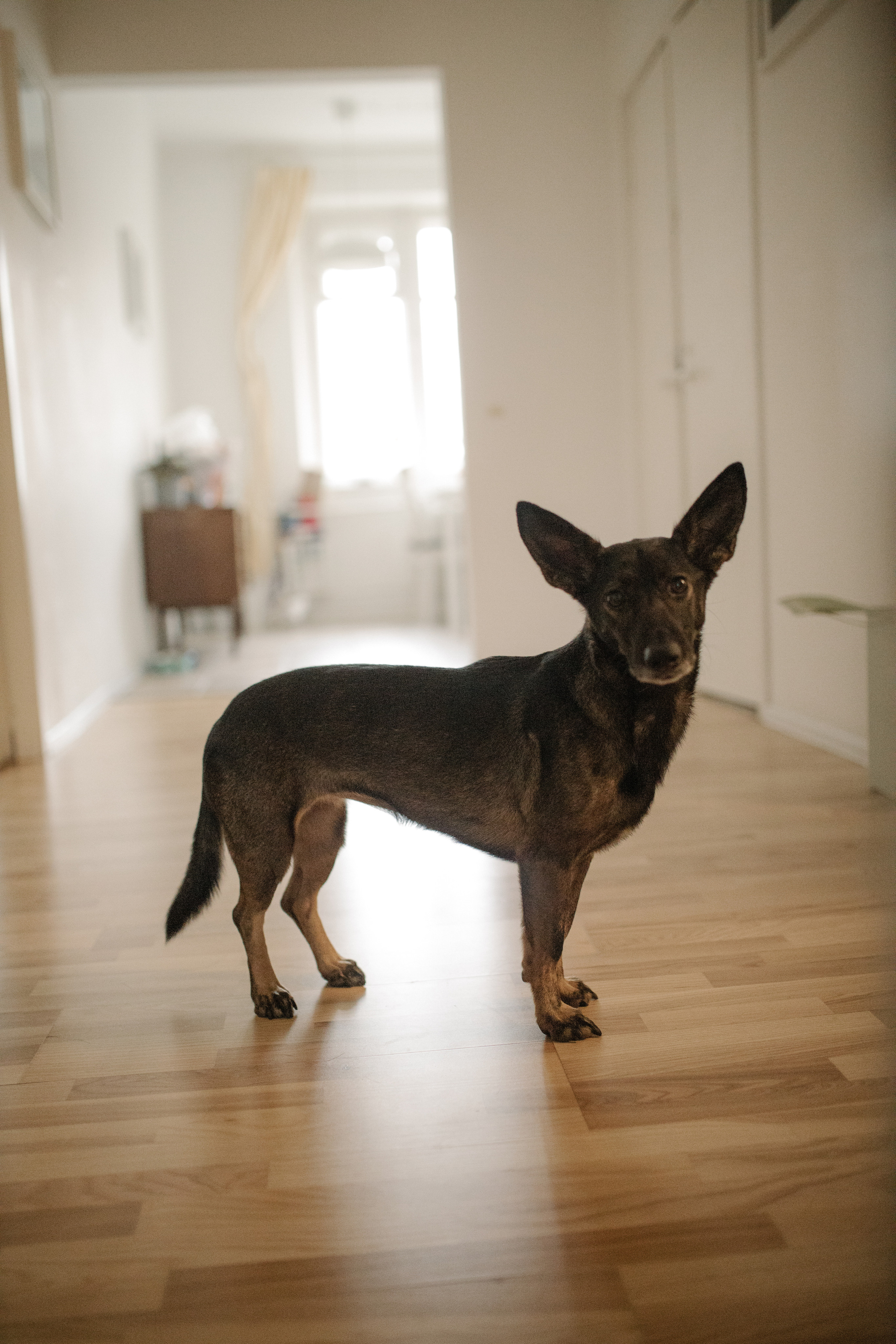 Степан и Ксения. Фотограф в Москве Вероника Иньякова