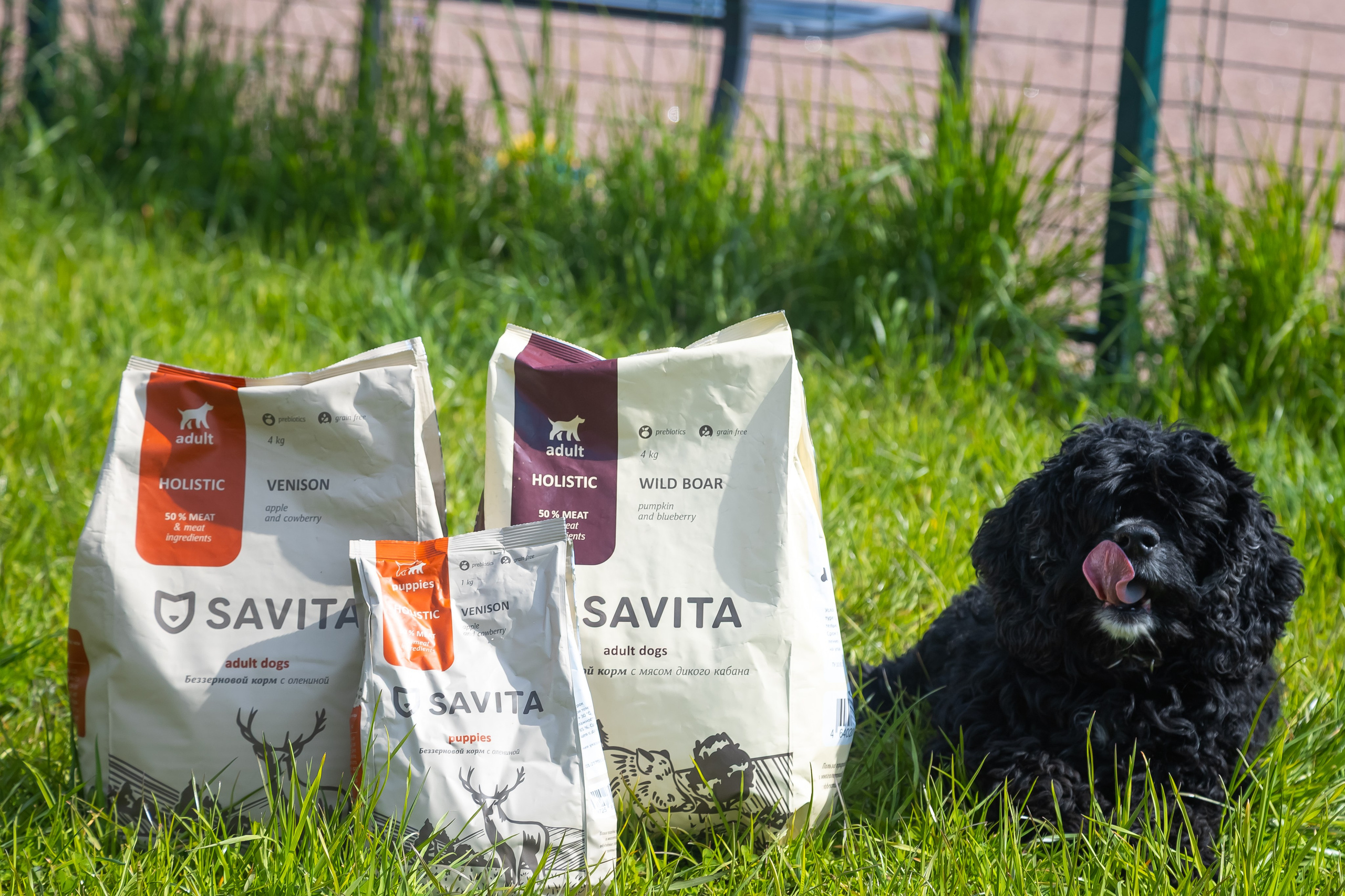 Petshop Забота. Фотограф в Санкт-Петербурге Чумаков Семен