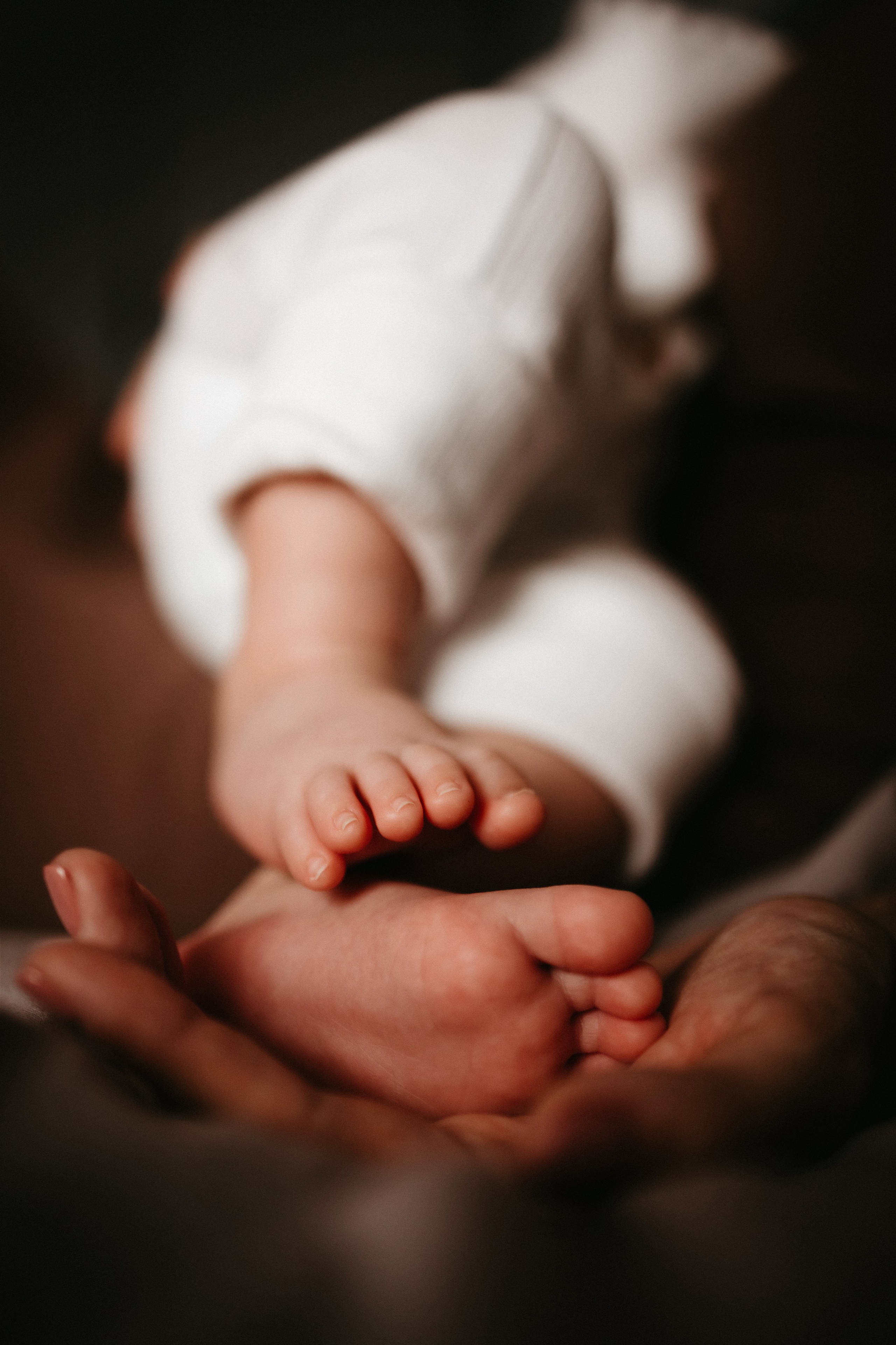 Лёва 2 месяца. Евгения Пелипас