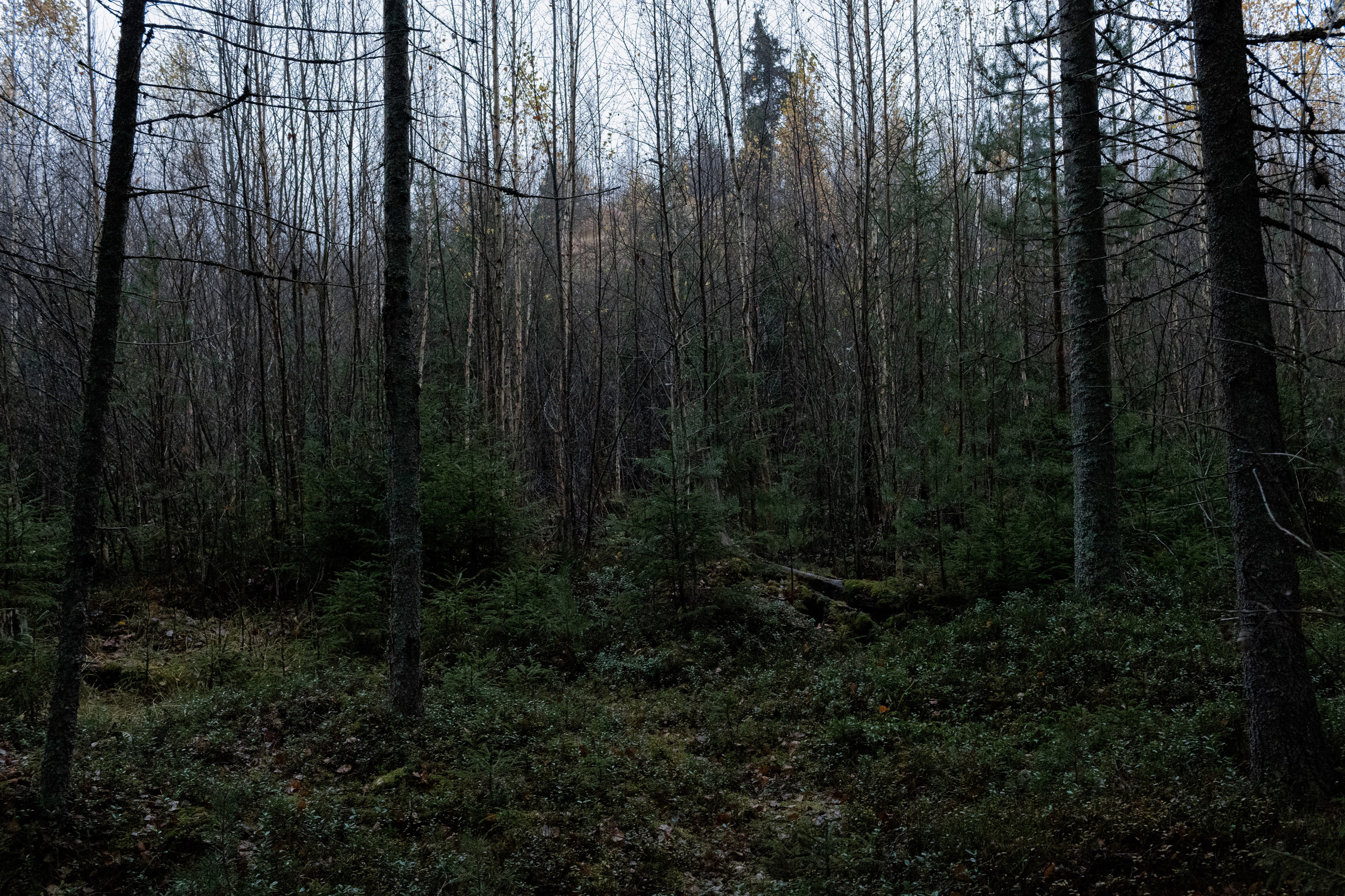 Съемка для глемпинг-отеля Хюгге Кэмп. Природа. Саша Кушнерова Фотографии. Sasha Kushnerova Photos