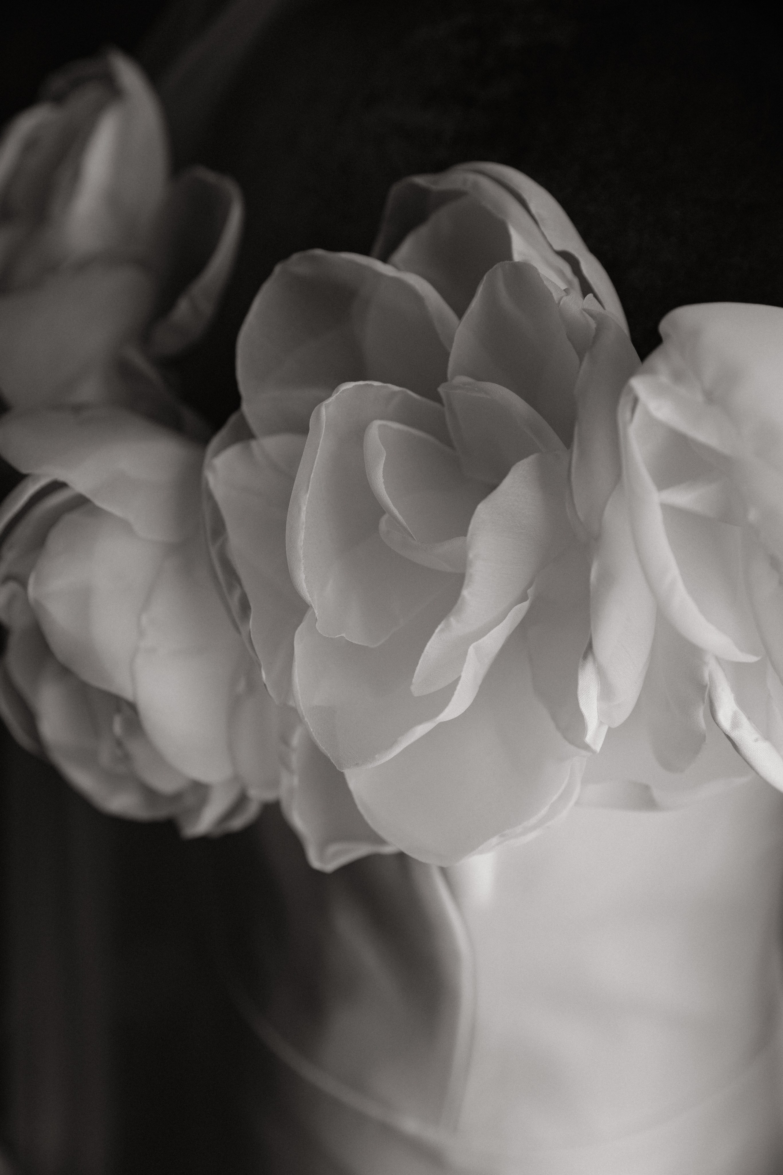 Илья и Света. Свадебный фотограф Фадеева Алёна