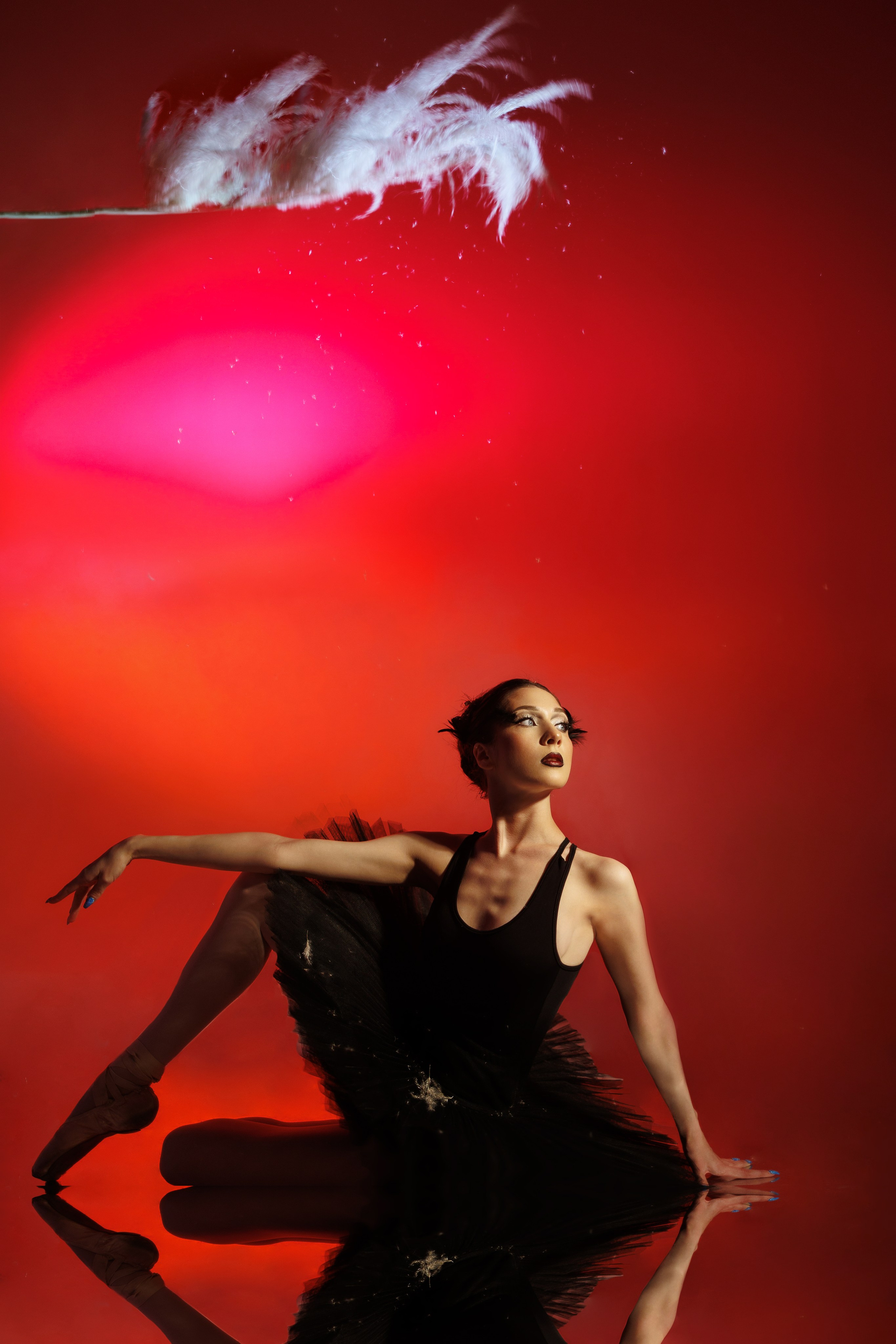 Черный лебедь. Марковкина КрисТина