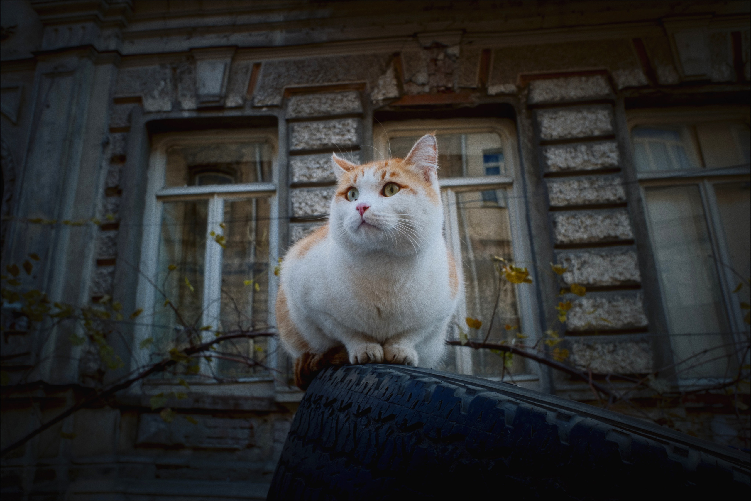 Улицы Грузии ч.8. Фотограф документалист Виктор Гаршнеп