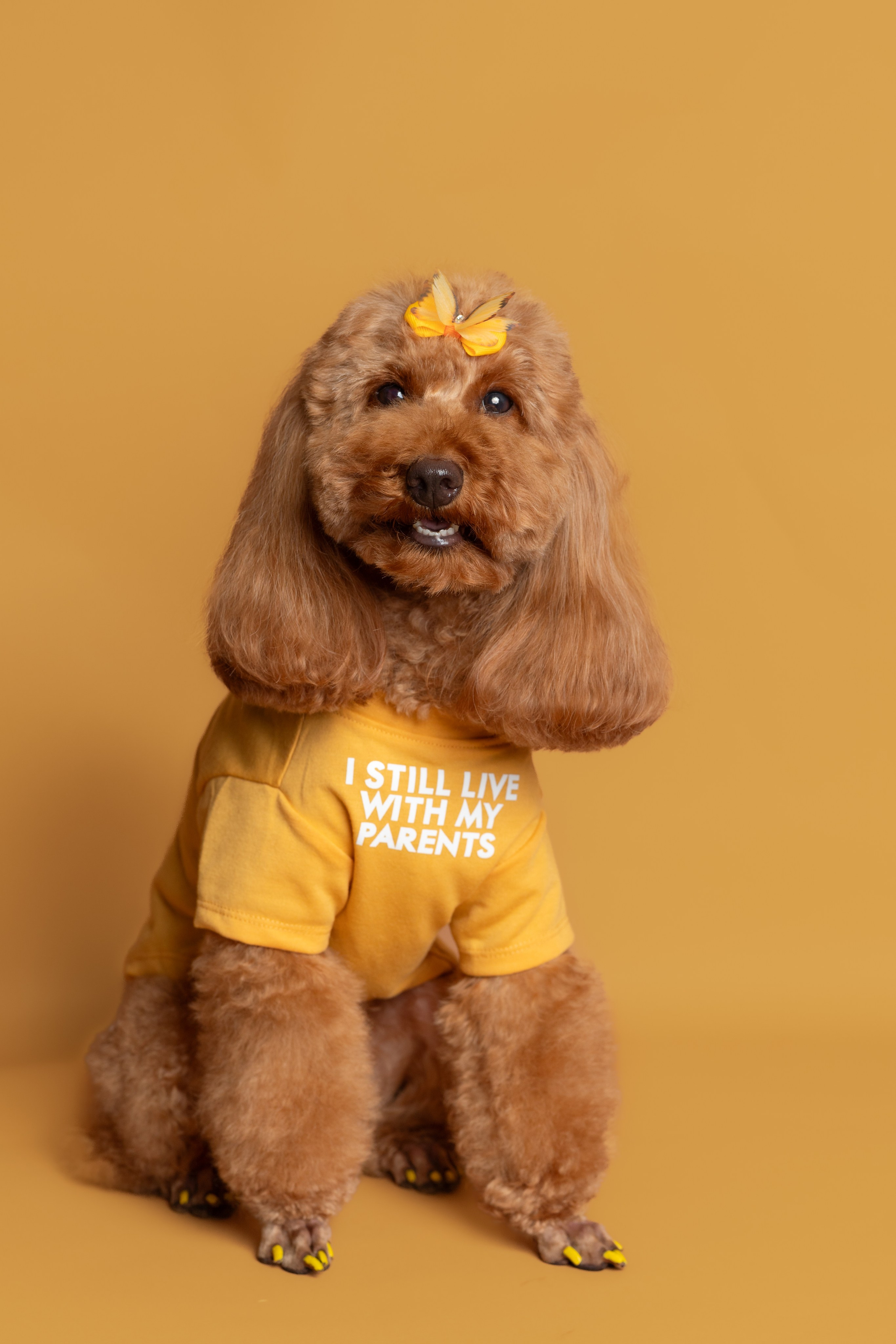 СЪЕМКИ ДОМА