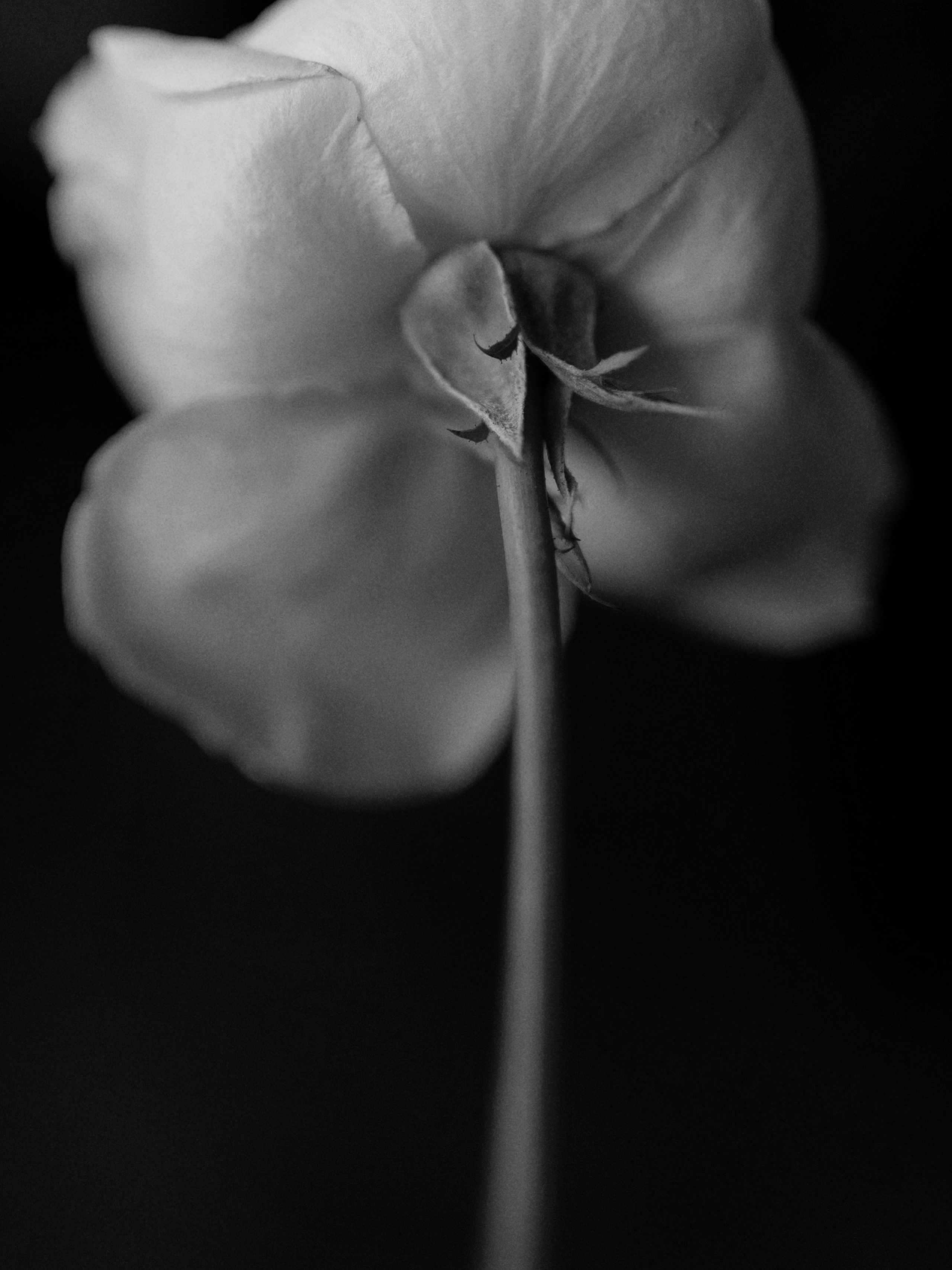 Портретный и репортажный фотограф Настя Климачева