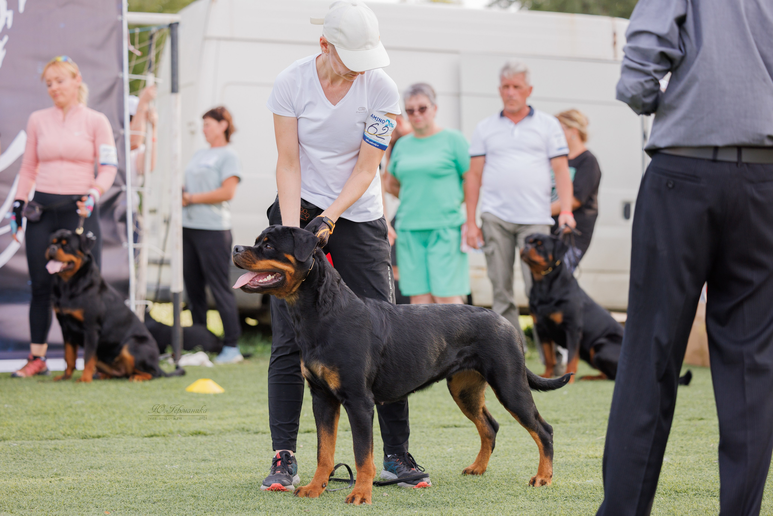 Анапа ротвейлеры 14-15.09.2024. Фотограф-анималист Юлия Германика