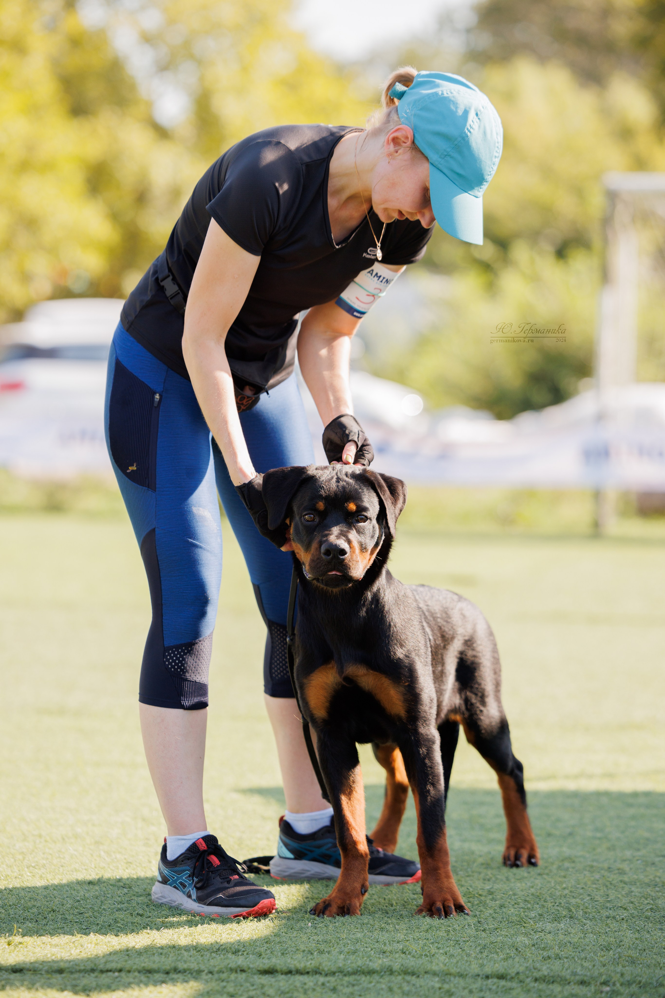 Анапа ротвейлеры 14-15.09.2024. Фотограф-анималист Юлия Германика