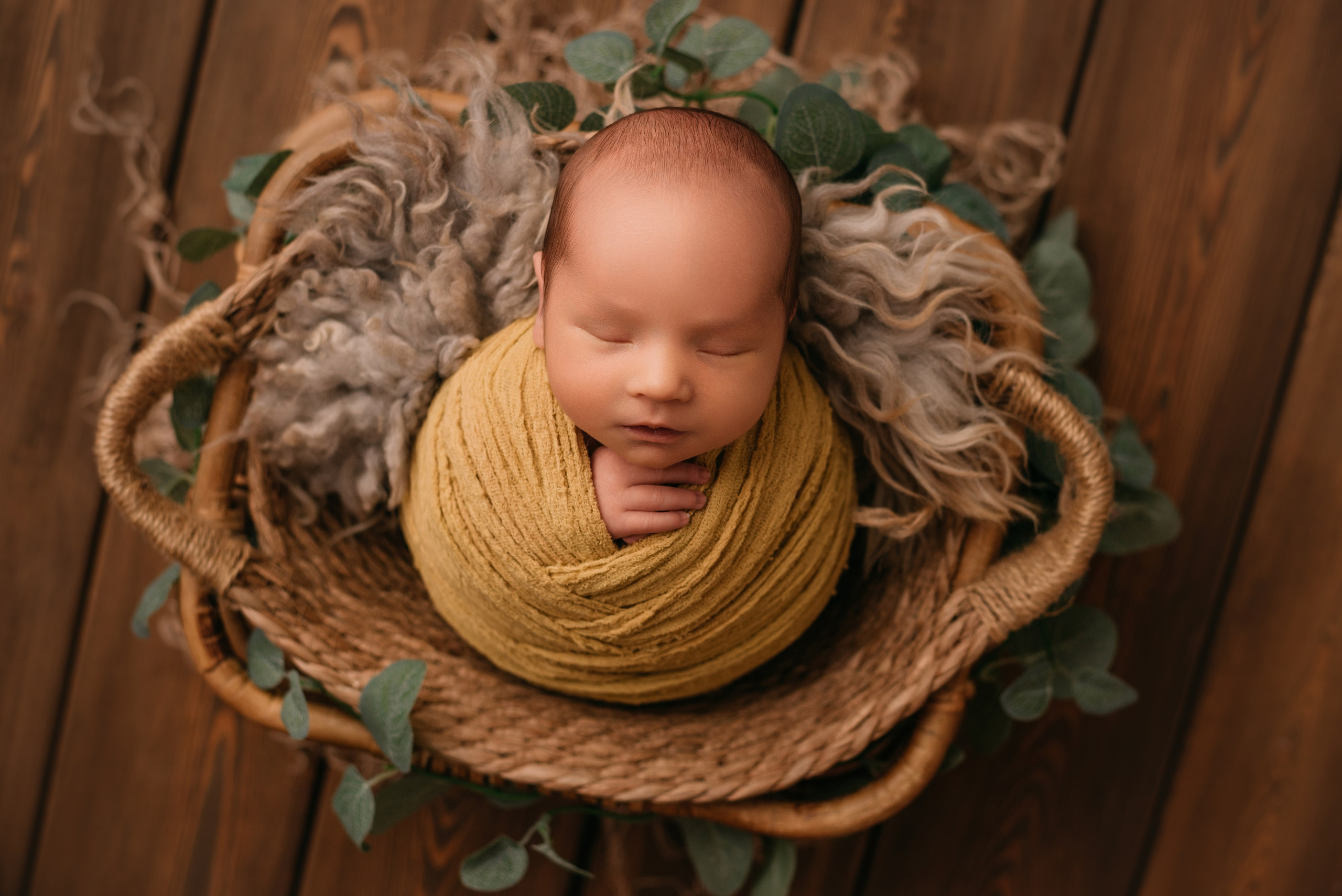 Лев. Фотограф новорожденных Белгород