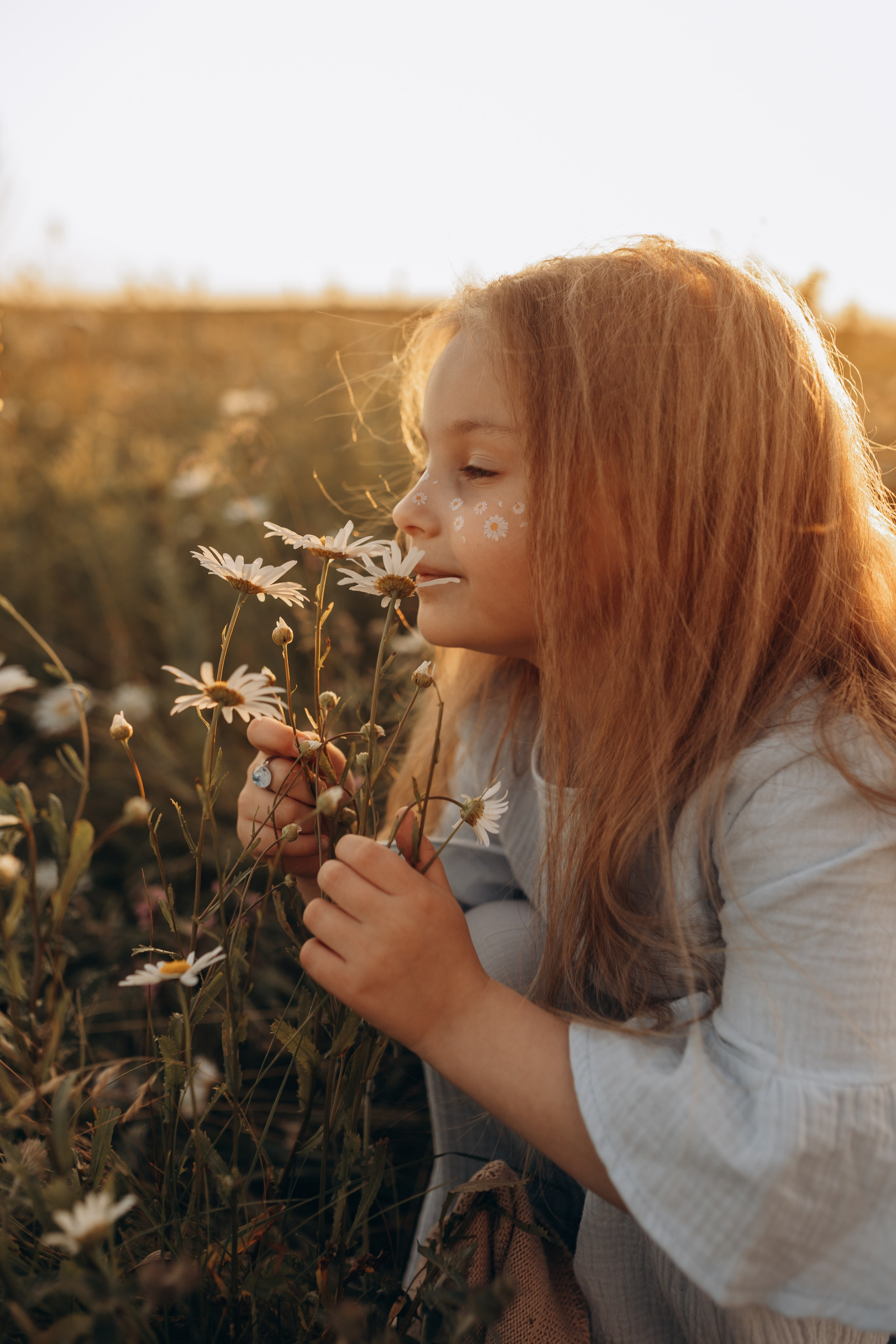 Закат на ромашковом поле. Фотограф в Ставрополе Svetlana Matveeva
