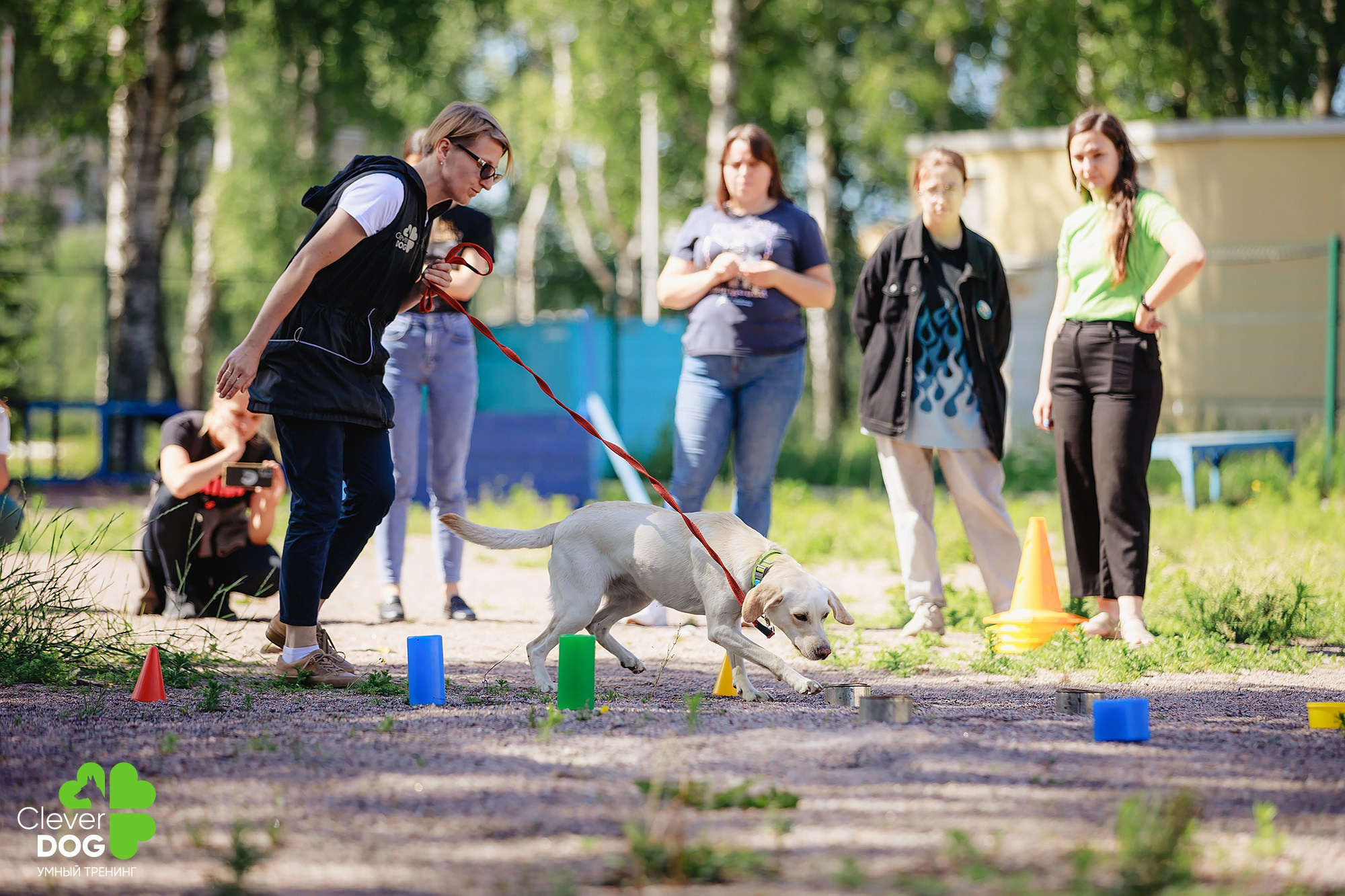 Семинар по поиску запаха с Иваном Ломовым, организатор CleverDog, СПб. Фотограф-анималист Mary Mart — Москва, Питер