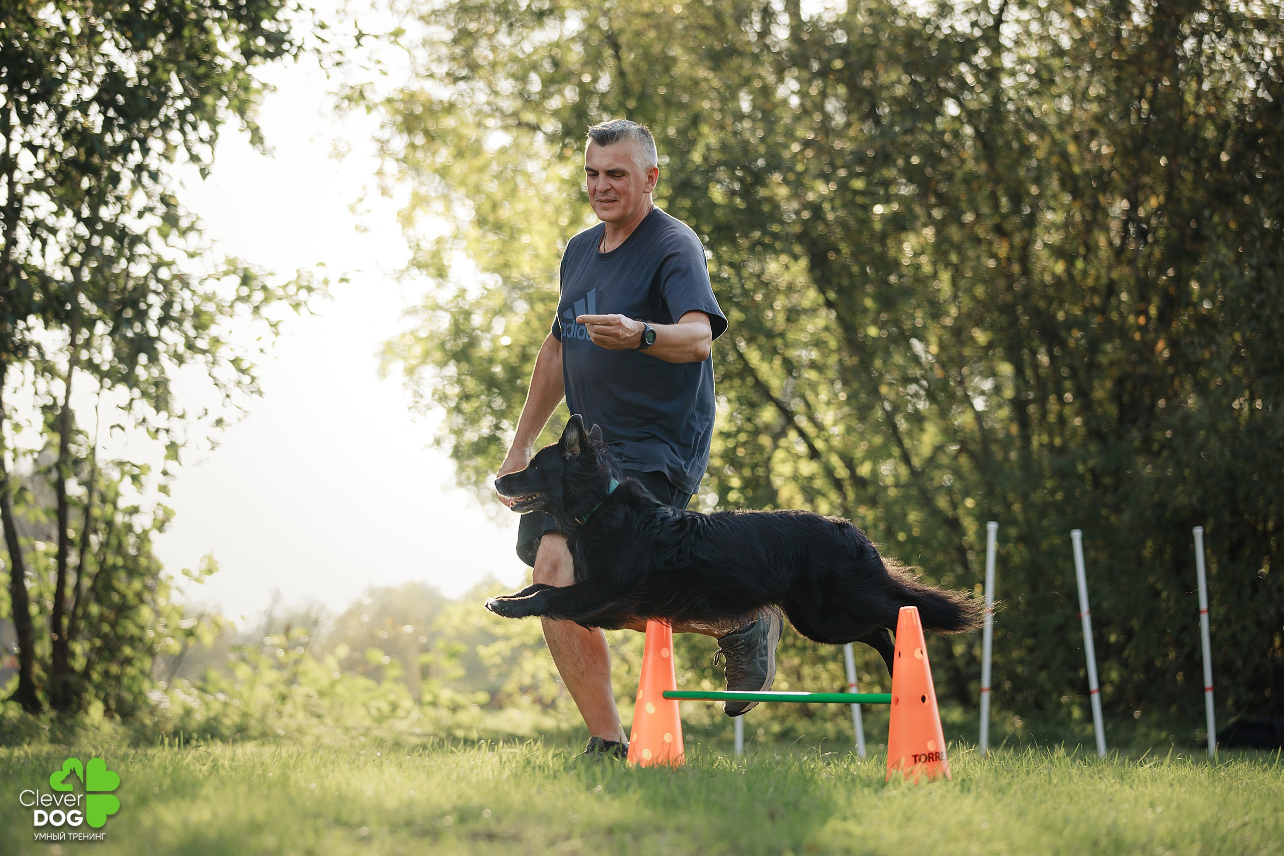 Кинологический лагерь CleverDog, 2024. Фотограф-анималист Mary Mart — Москва, Питер