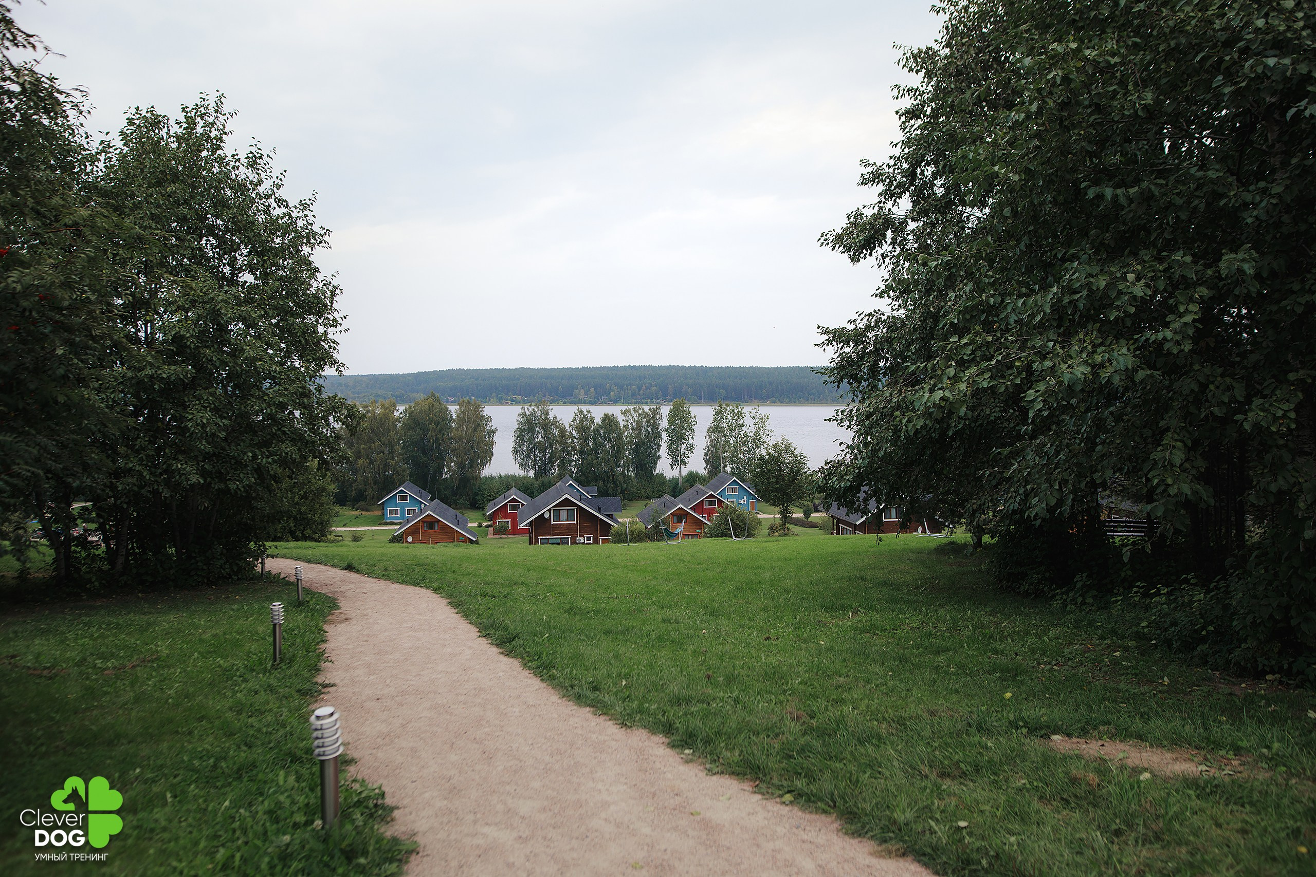 Кинологический лагерь CleverDog, 2024. Фотограф-анималист Mary Mart — Москва, Питер