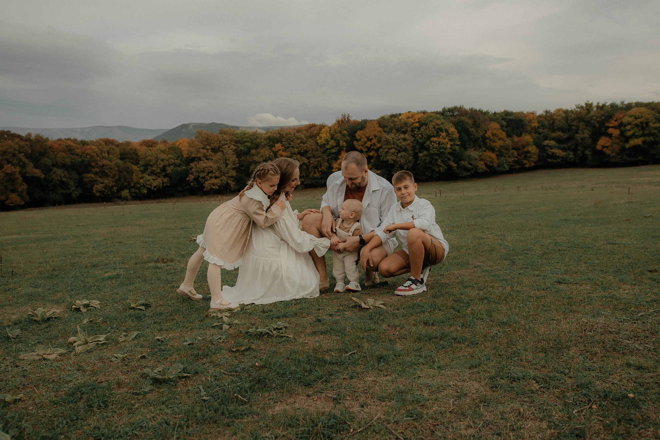 Условия и стоимость