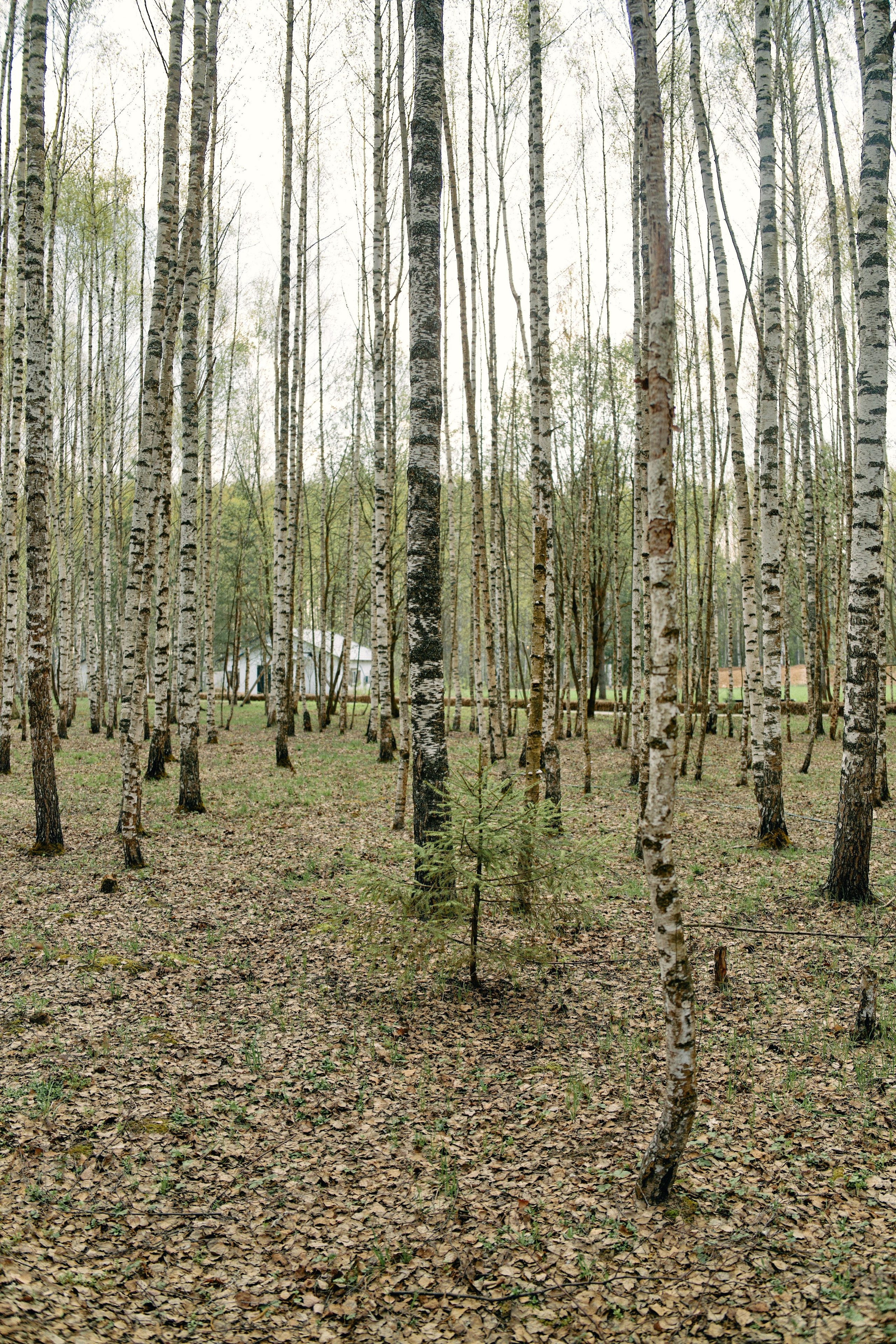 Бутик-отель Поле летом. Профессиональный Фотограф во Владимире, в Москве и в Суздале — Полина Романычева