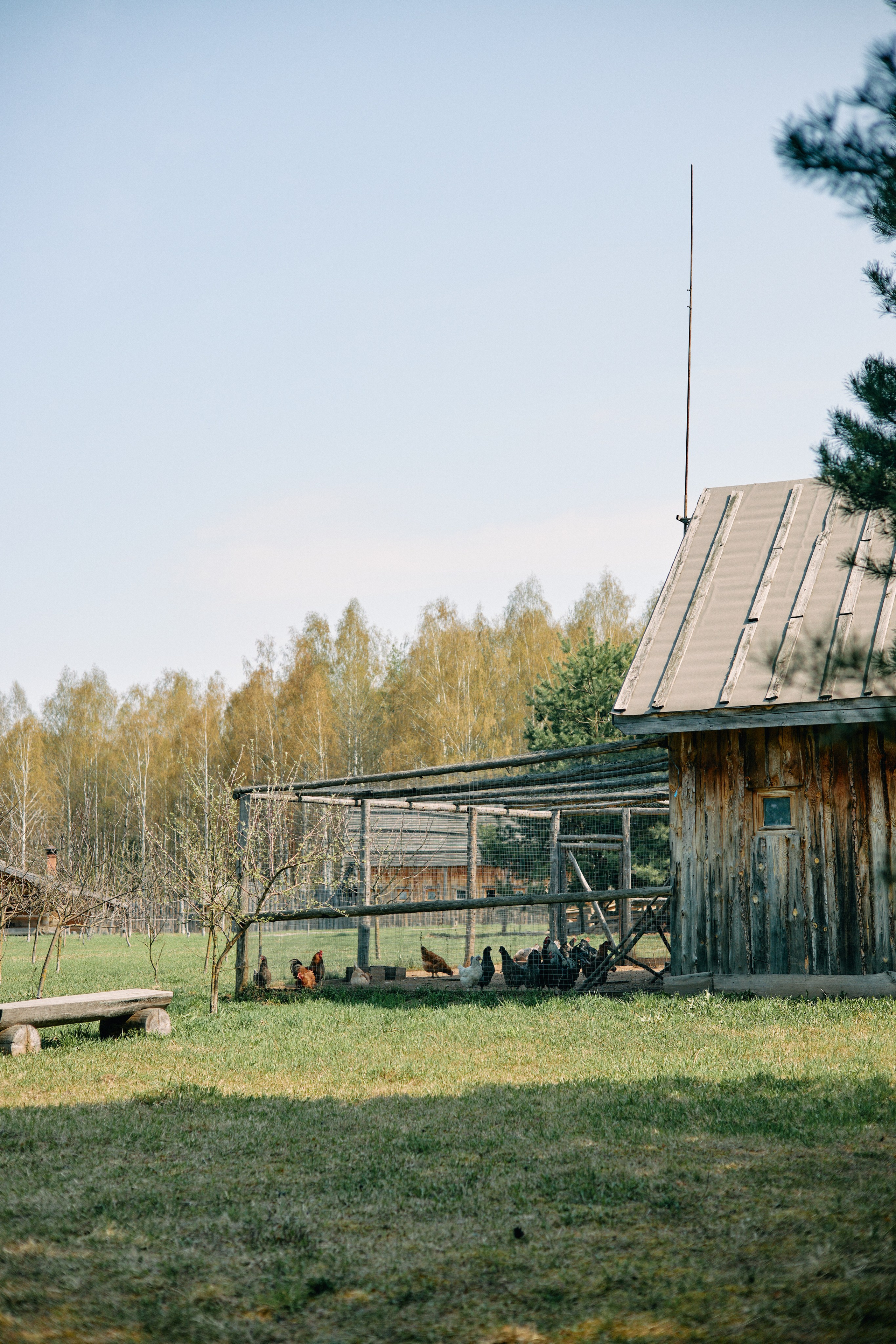 Бутик-отель Поле летом. Профессиональный Фотограф во Владимире, в Москве и в Суздале — Полина Романычева