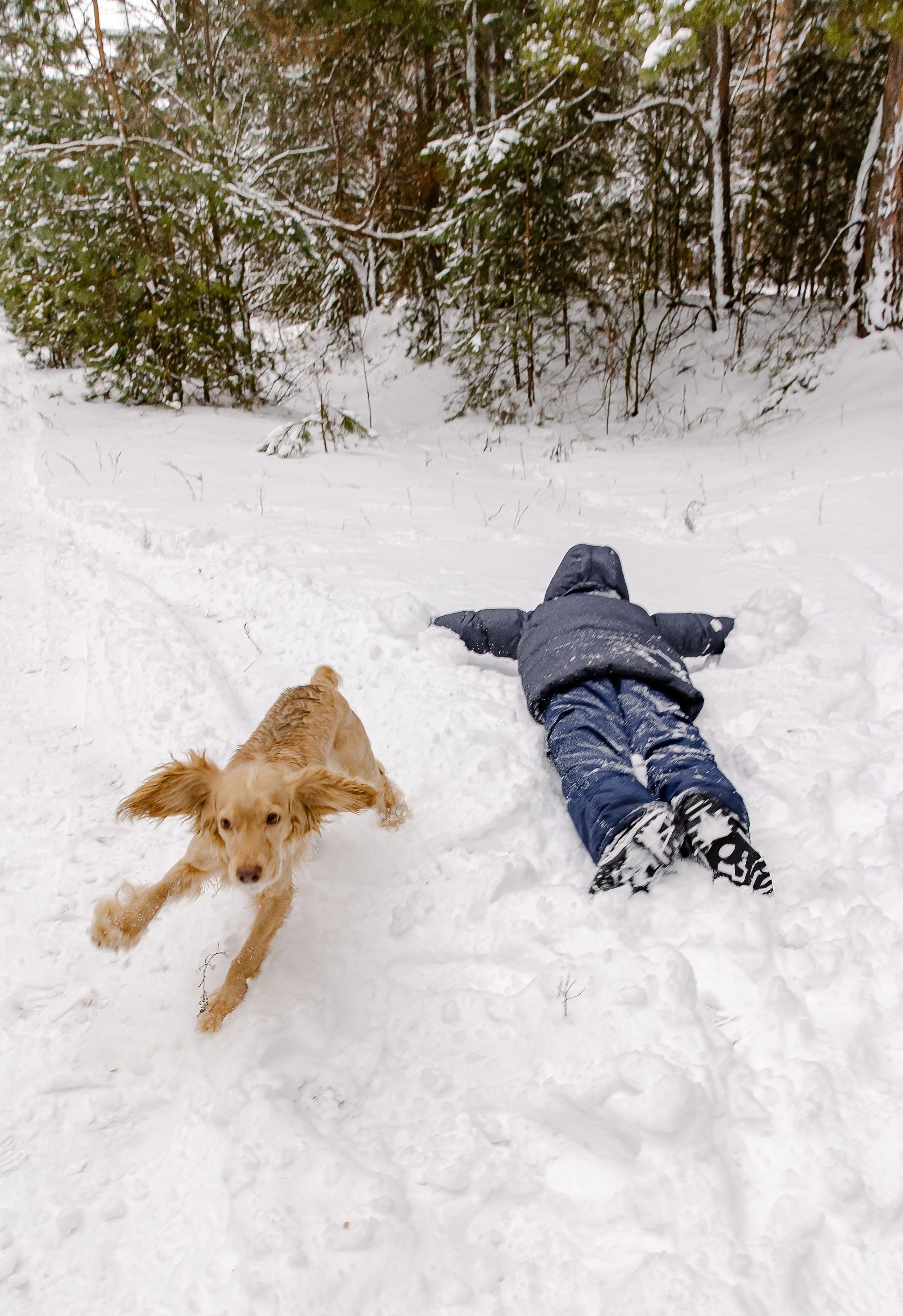Прогулка в лесу. Свадебный и семейный фотограф в Рязани Саша Крутых