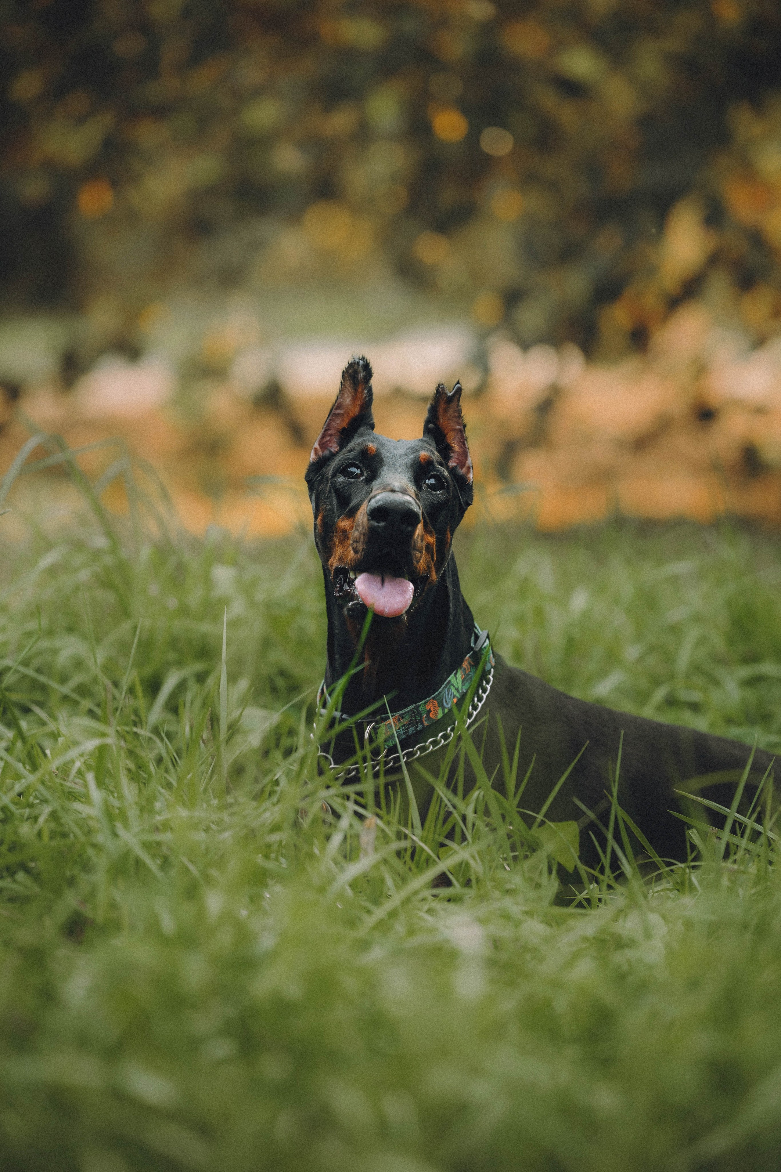 Паша и Хайди