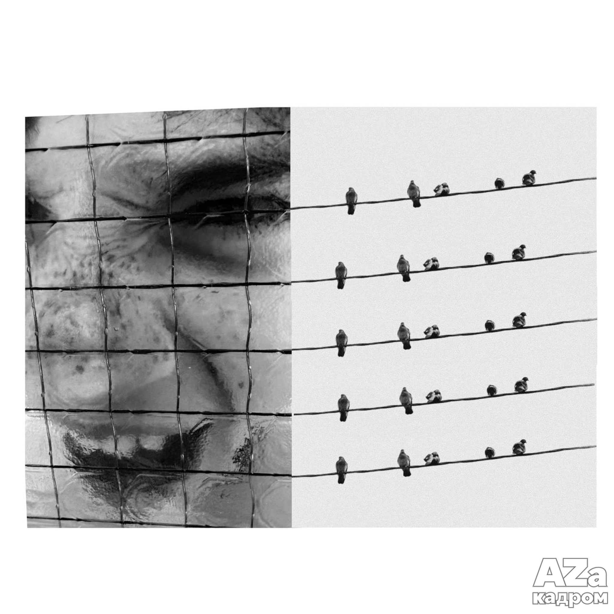 AZакадром «Диптихи»