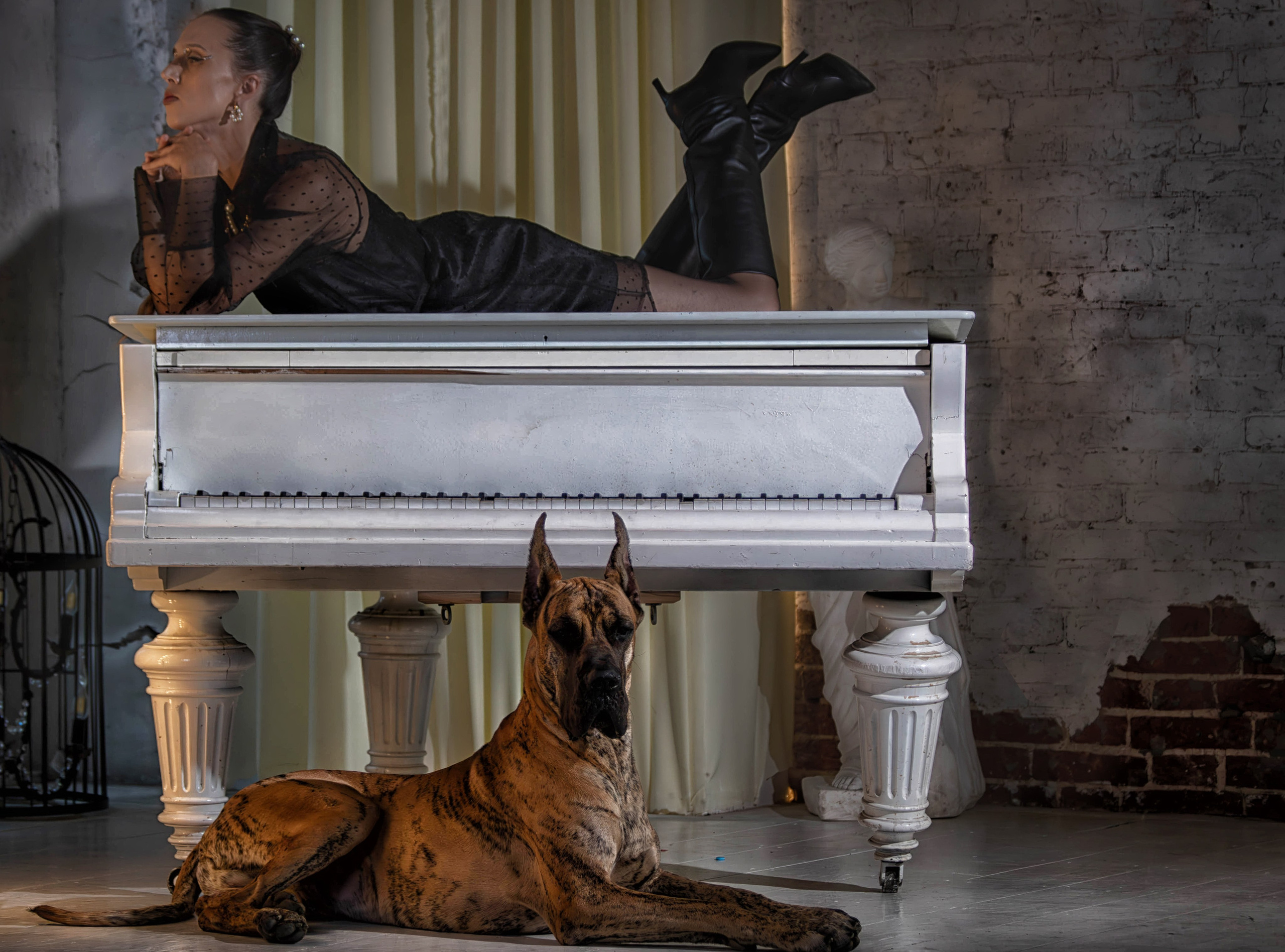 Анна и немецкий дог Honney Highlight. Фотограф анималист — Тула, Москва